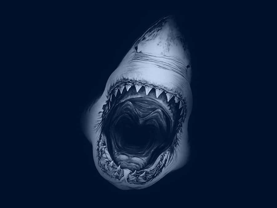 Picha ya Megalodon ya Rangi ya Bluu Inayovuma Picha ya Ukuta