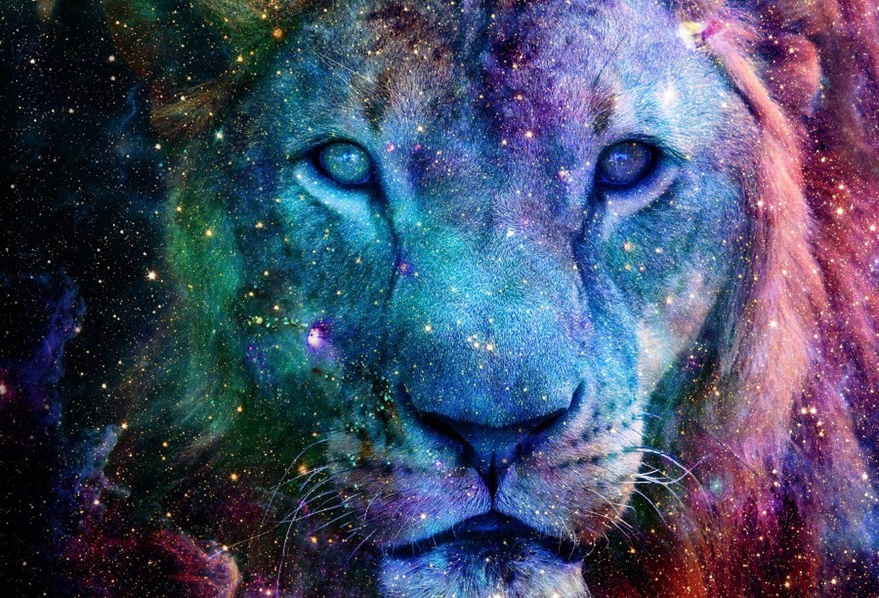 Picha Ya Simba Wa Galaksi Picha ya Ukuta