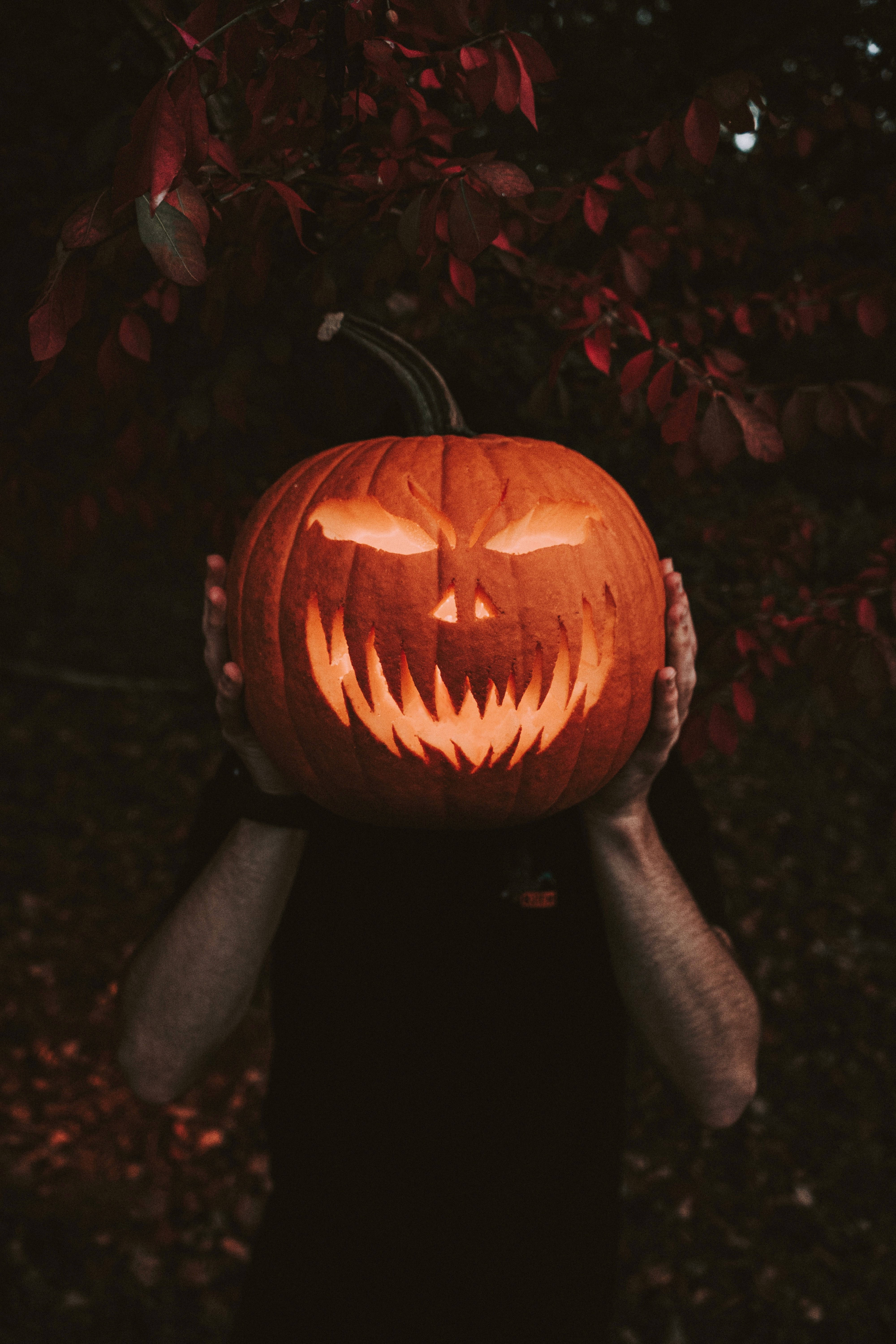Picha ya Simu ya Boga la Halloween Picha ya Ukuta