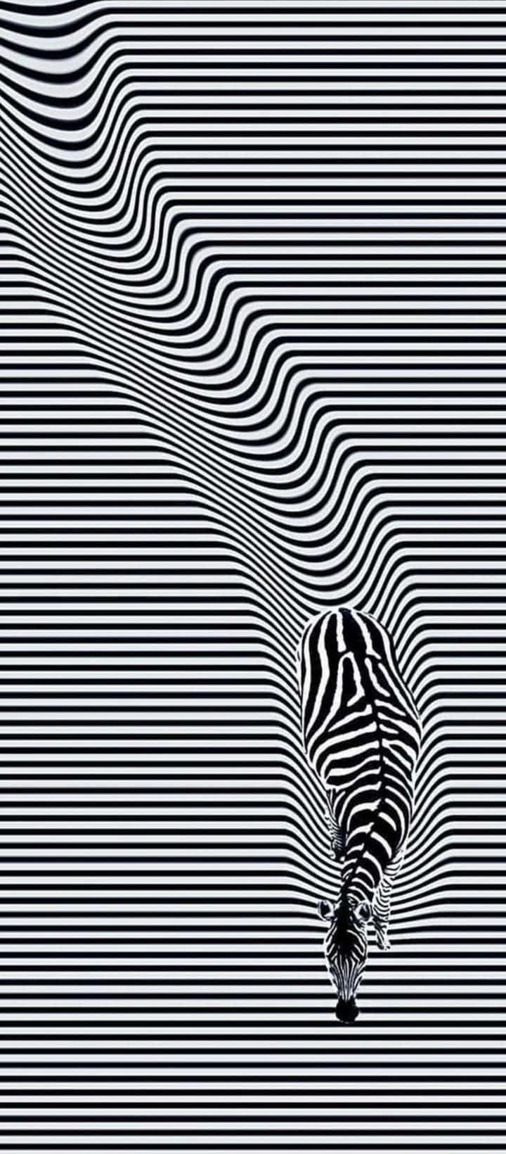 Picha ya Udanganyifu wa Dhana ya Zebra Picha ya Ukuta