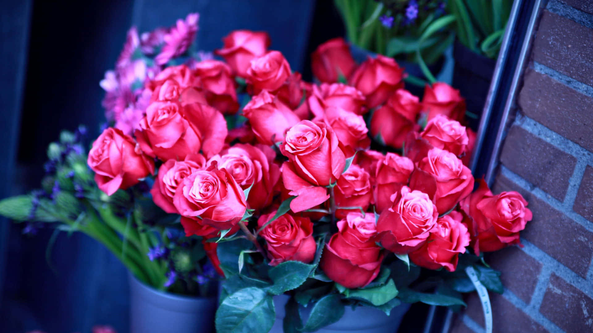 Picha za Bouquet ya Waridi Mbili Picha ya Ukuta