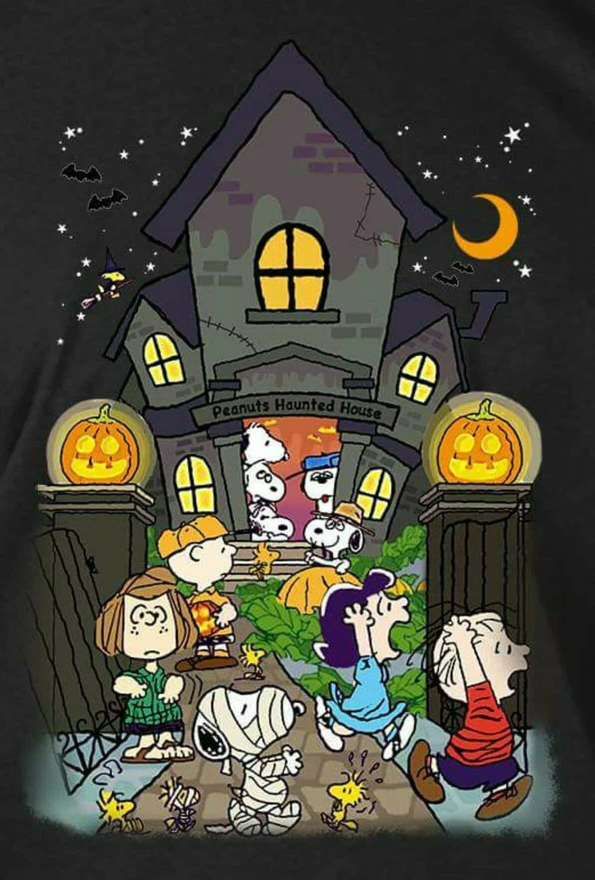 Picha za Charlie Brown za Halloween Picha ya Ukuta