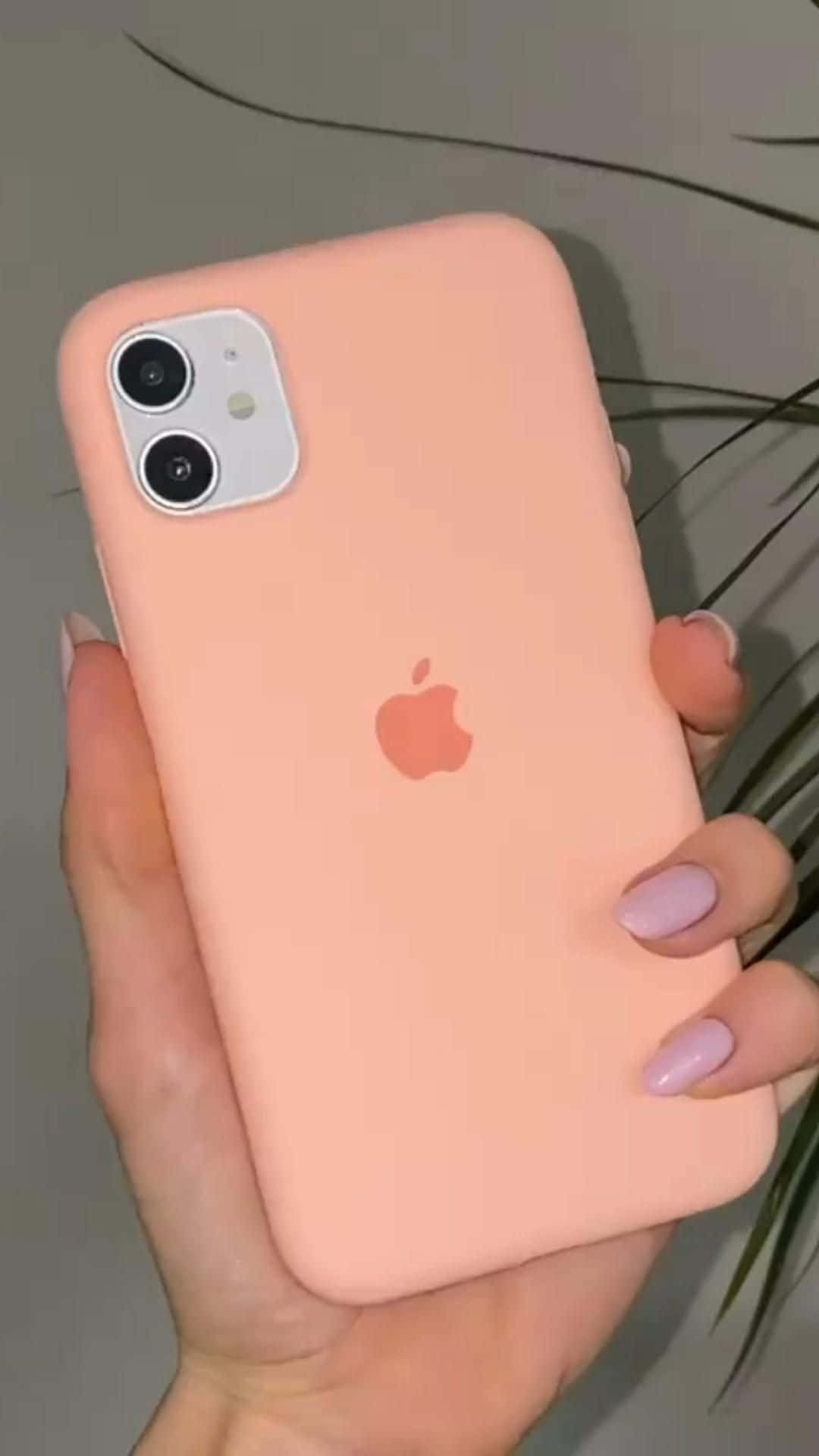 Picha za iPhone 12 Picha ya Ukuta