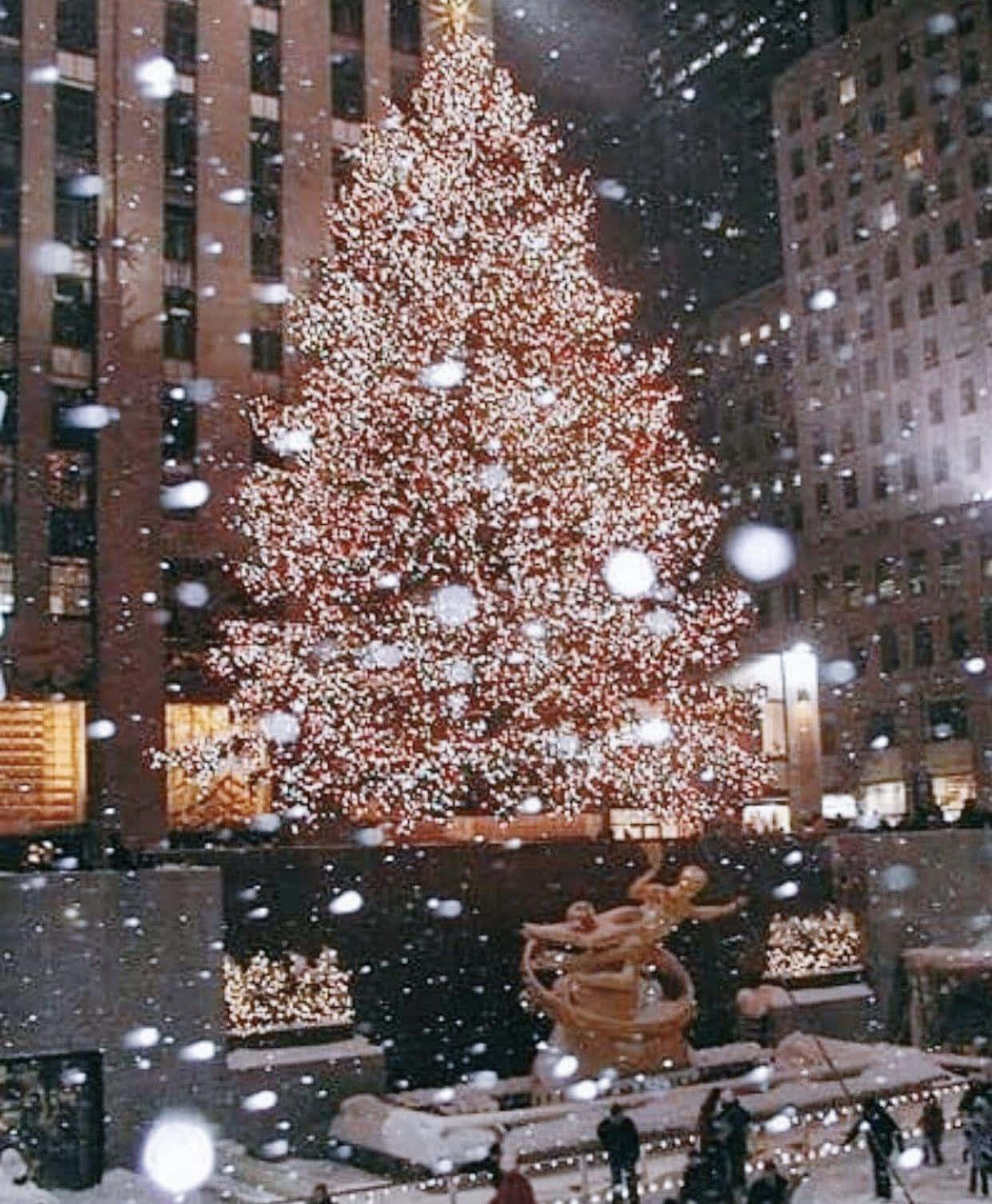 Picha za Krismasi zenye mvuto Picha ya Ukuta