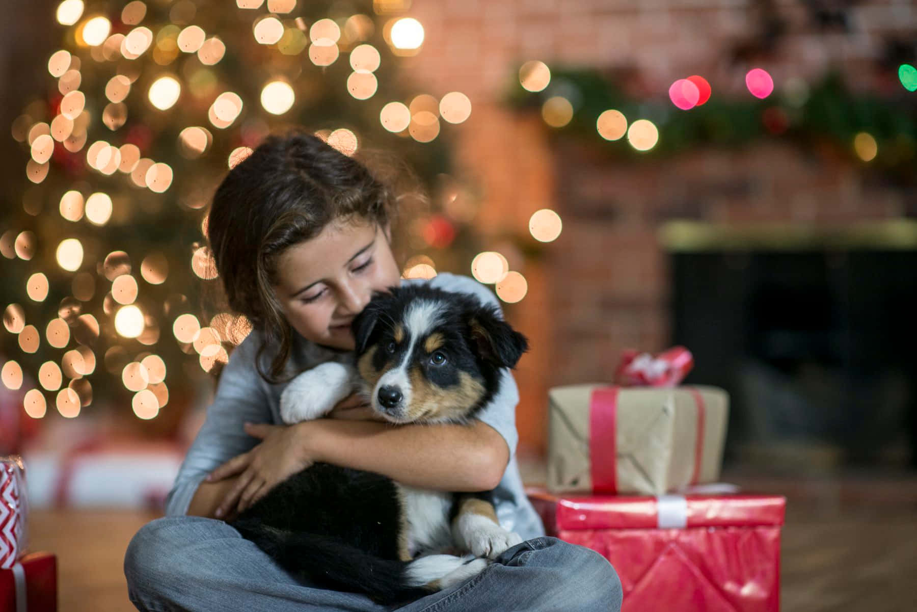 Picha za Krismasi za kupendeza Picha ya Ukuta