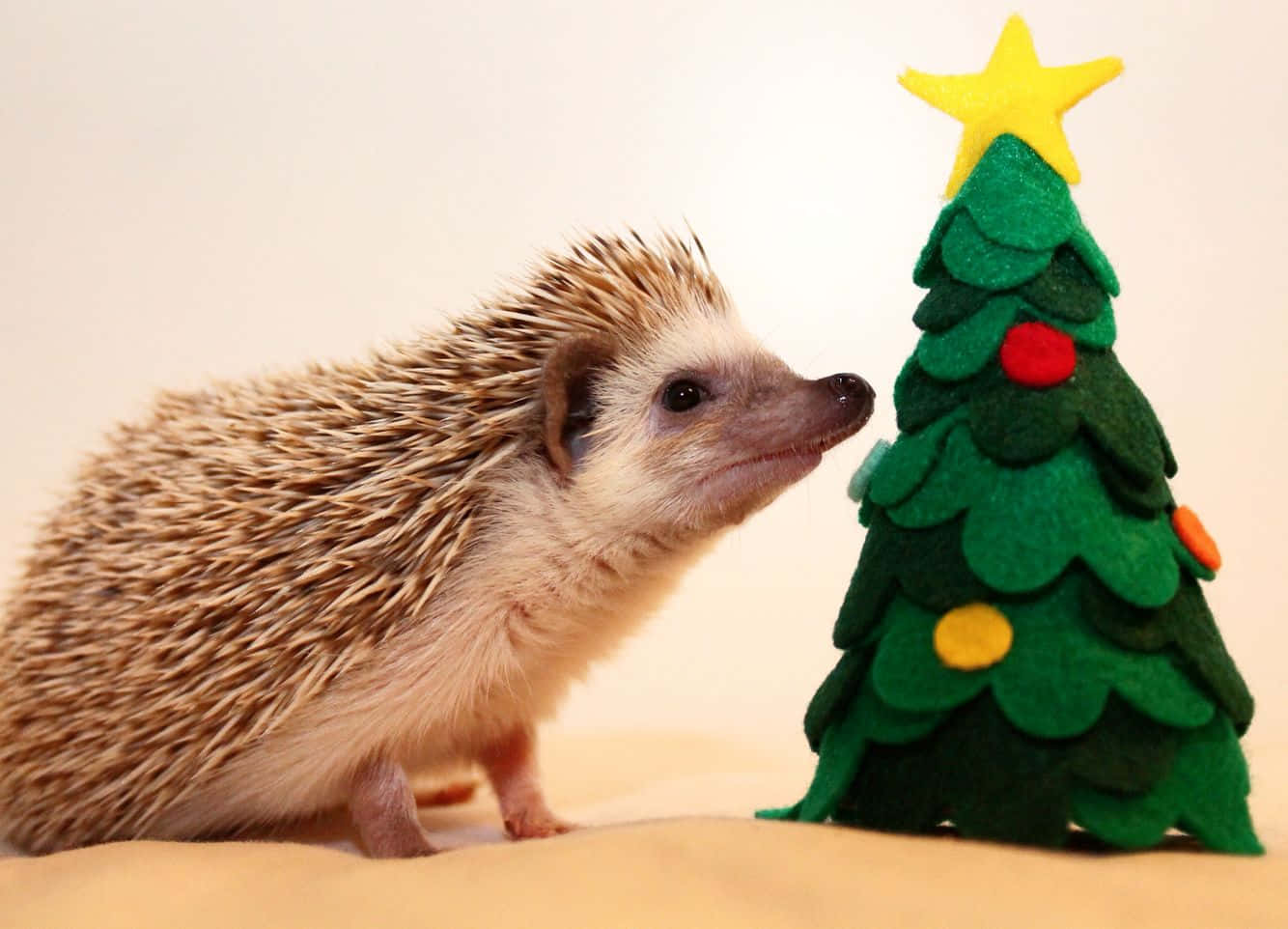 Picha za Krismasi zenye kupendeza Picha ya Ukuta
