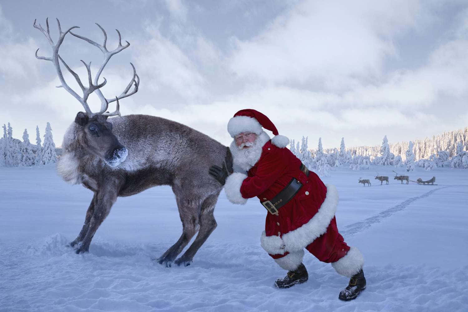 Picha za Krismasi za kuchekesha Picha ya Ukuta