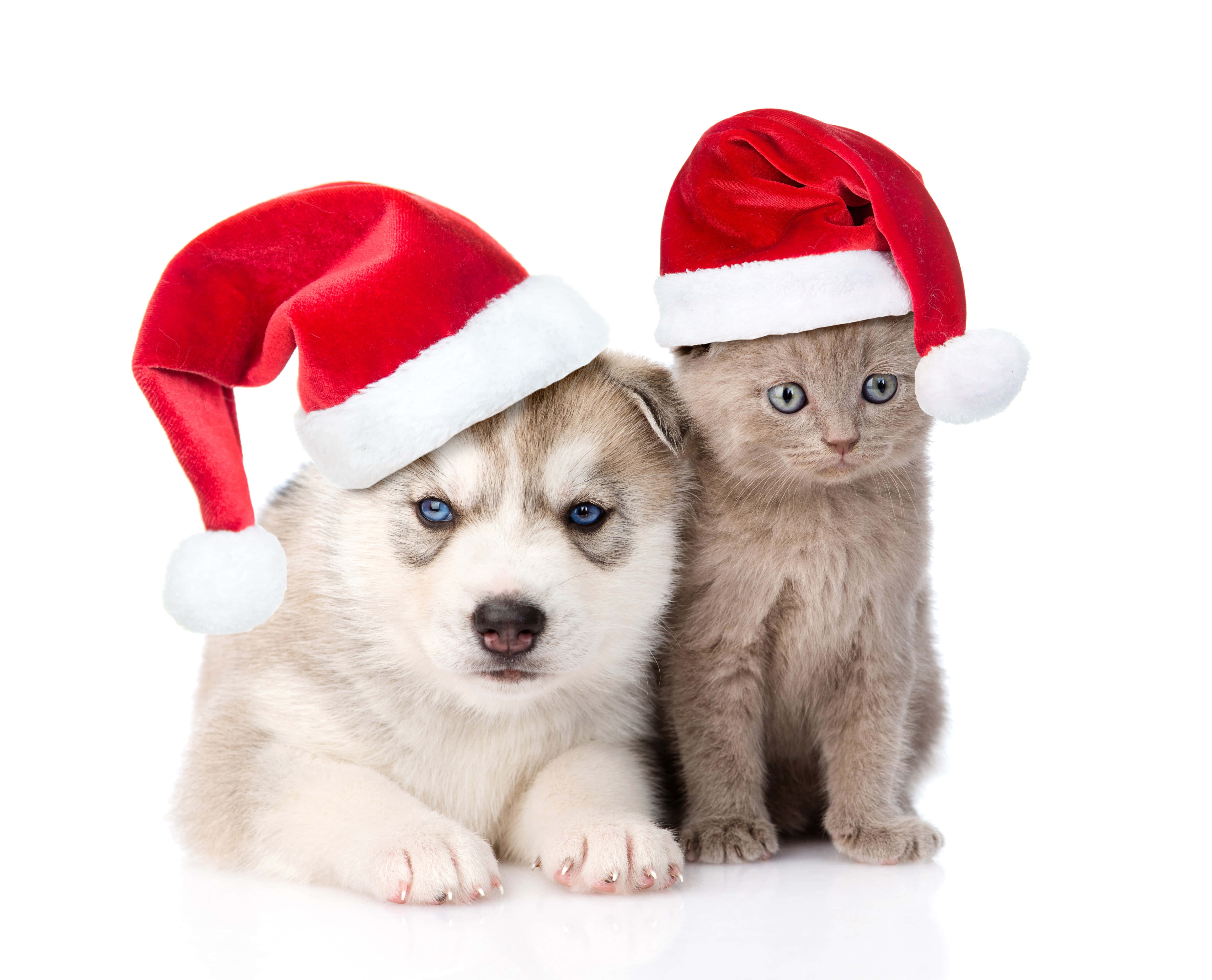 Picha za Krismasi za Kuwa na Mwoneko Mzuri Picha ya Ukuta