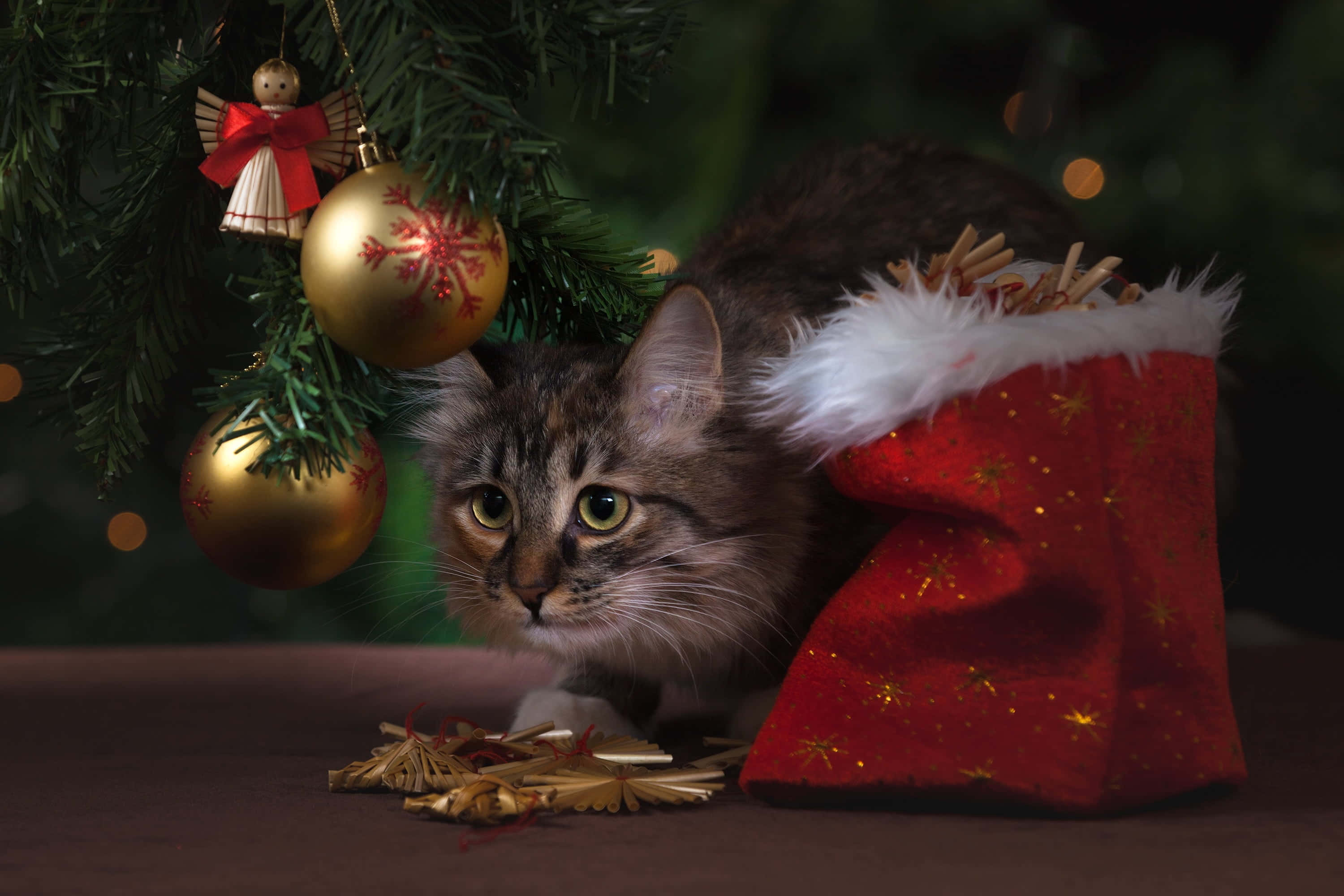 Picha za Krismasi za Kuwa na Mwoneko wa Kutisha Picha ya Ukuta