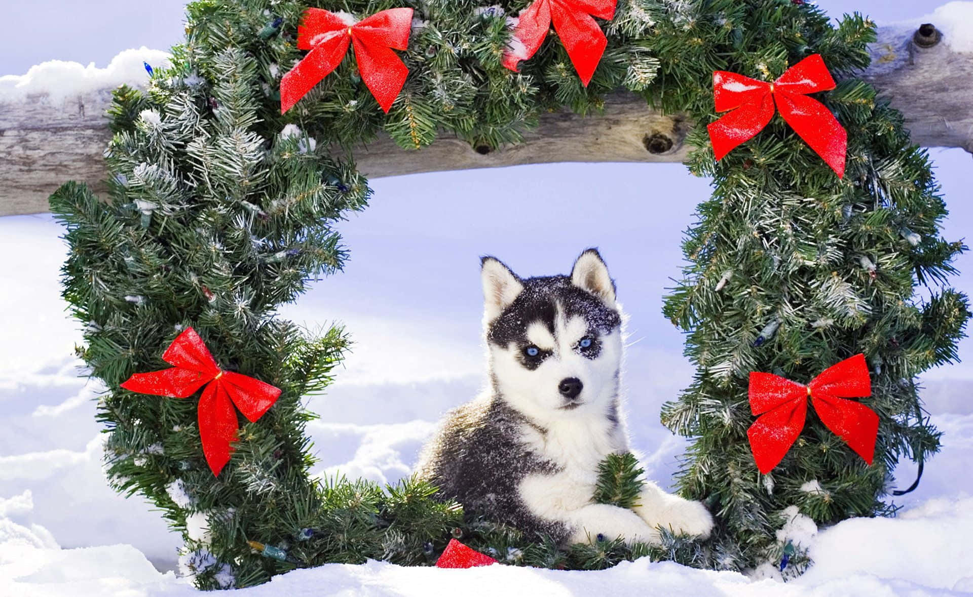 Picha za Krismasi za Kuwa na Mwoneko wa Kuwa na Mwoneko Picha ya Ukuta