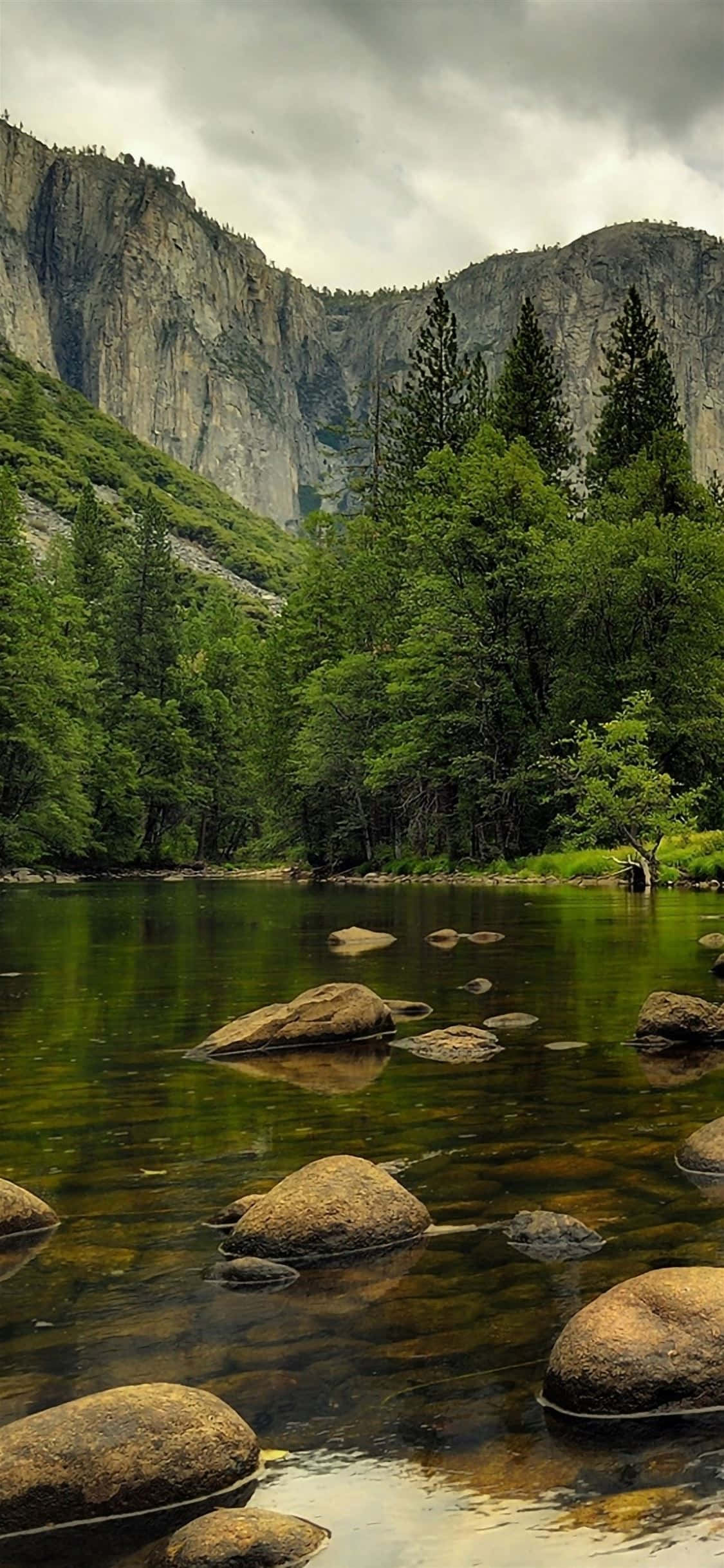 Picha za Nature ya Jamali Picha ya Ukuta