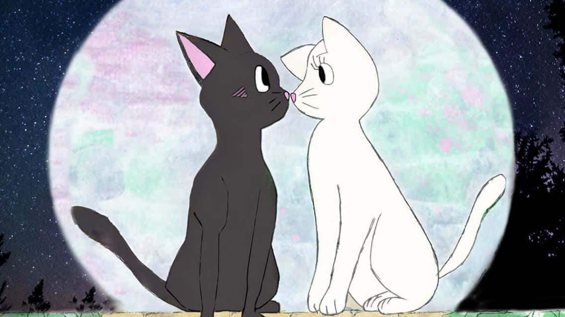 Picha za Paka Zinazolingana Sailor Moon Picha ya Ukuta