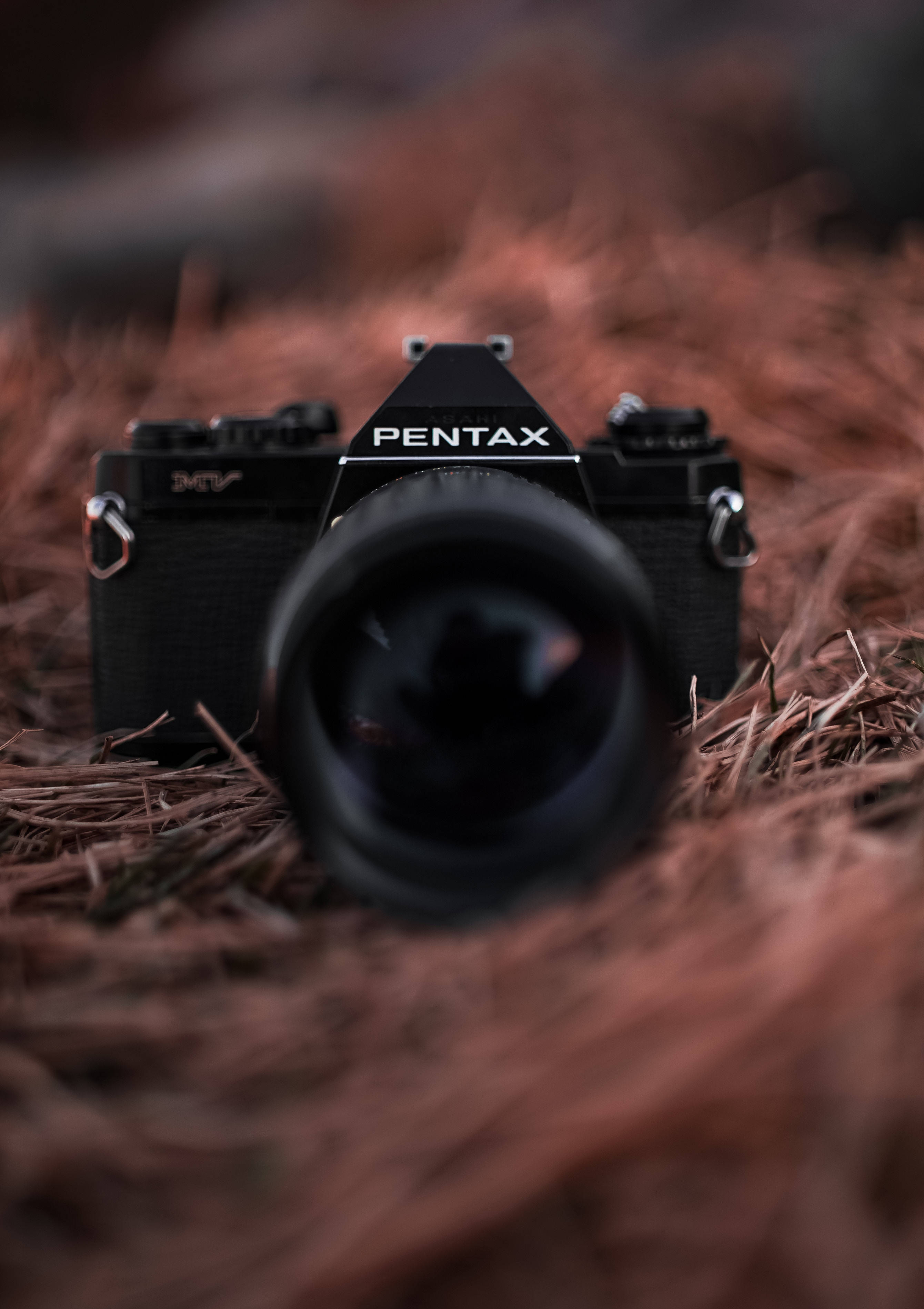 Piga uzuri wa maisha kwa Kamera ya Pentax Picha ya Ukuta