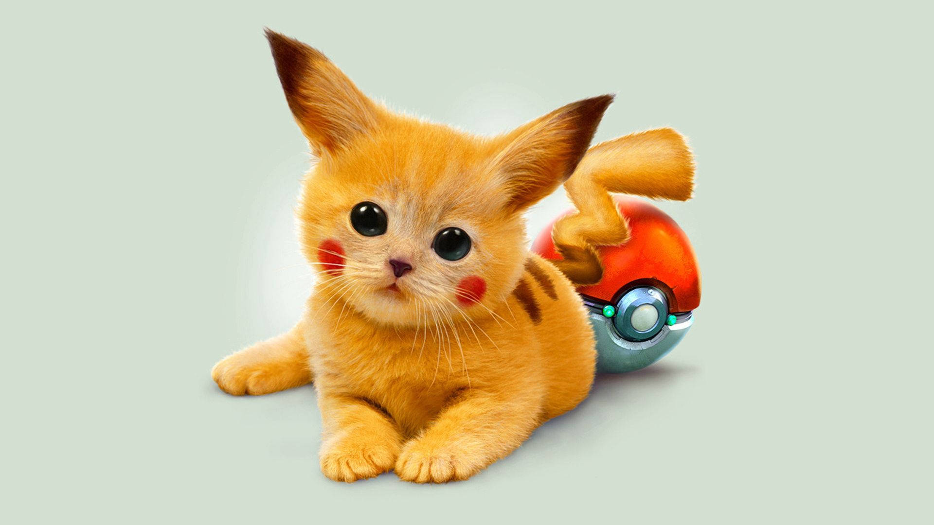Pikachu Paka Mrembo na Mwororo Picha ya Ukuta