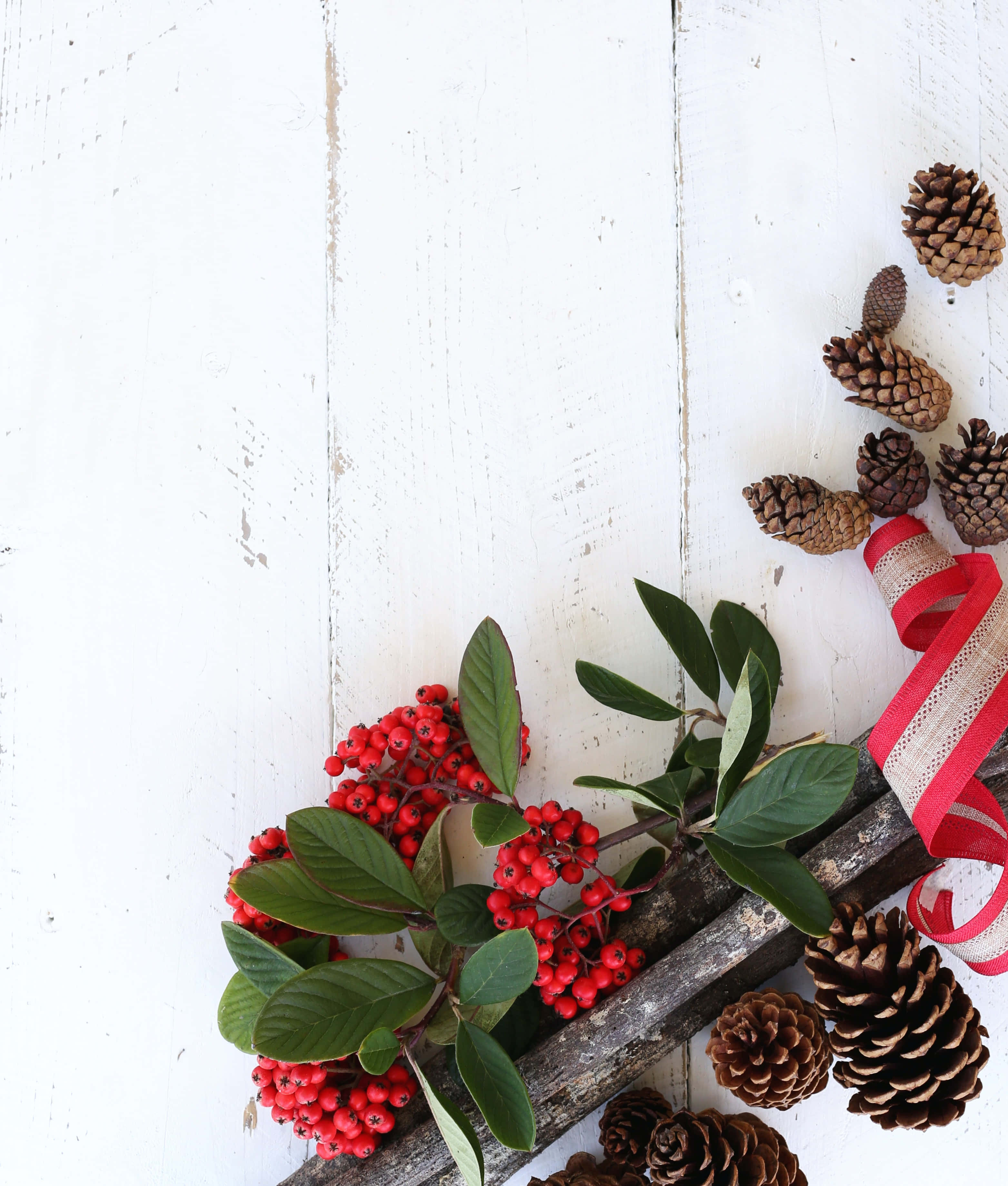 Pine Cones Na Berries Christmas Photo Background Picha ya Ukuta