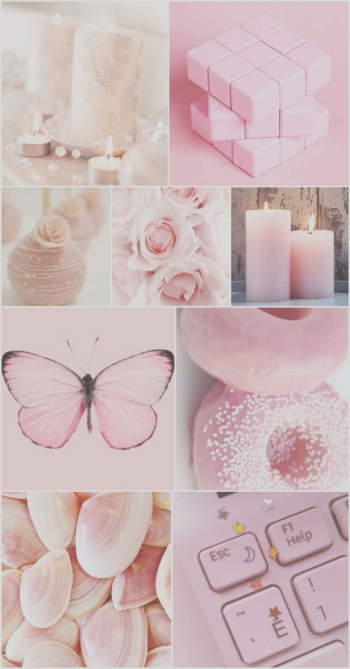 pinkii - - - - - - - - - - - - - - - Picha ya Ukuta