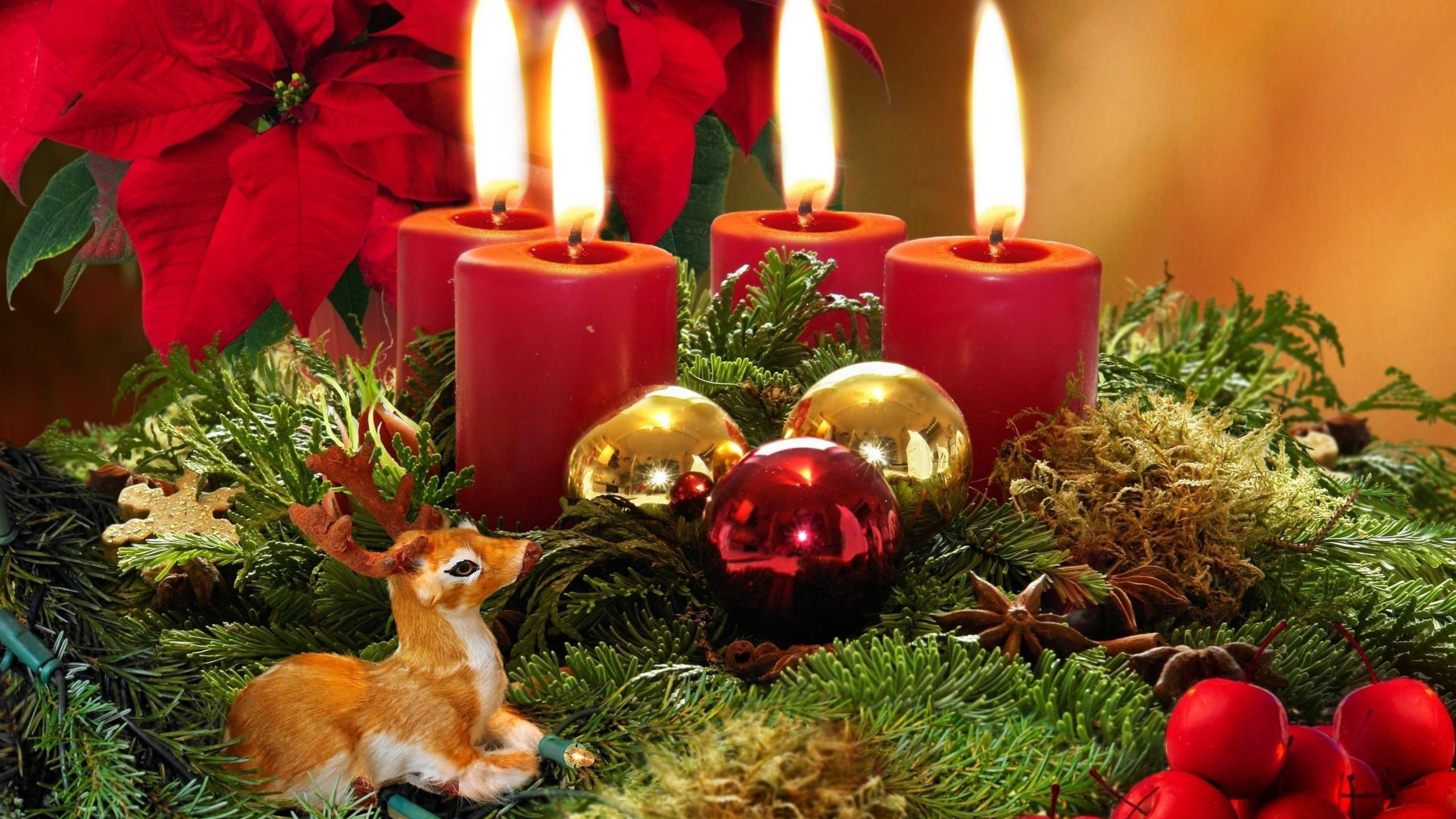 Poinsettia Christmas Decoration Picha ya Ukuta
