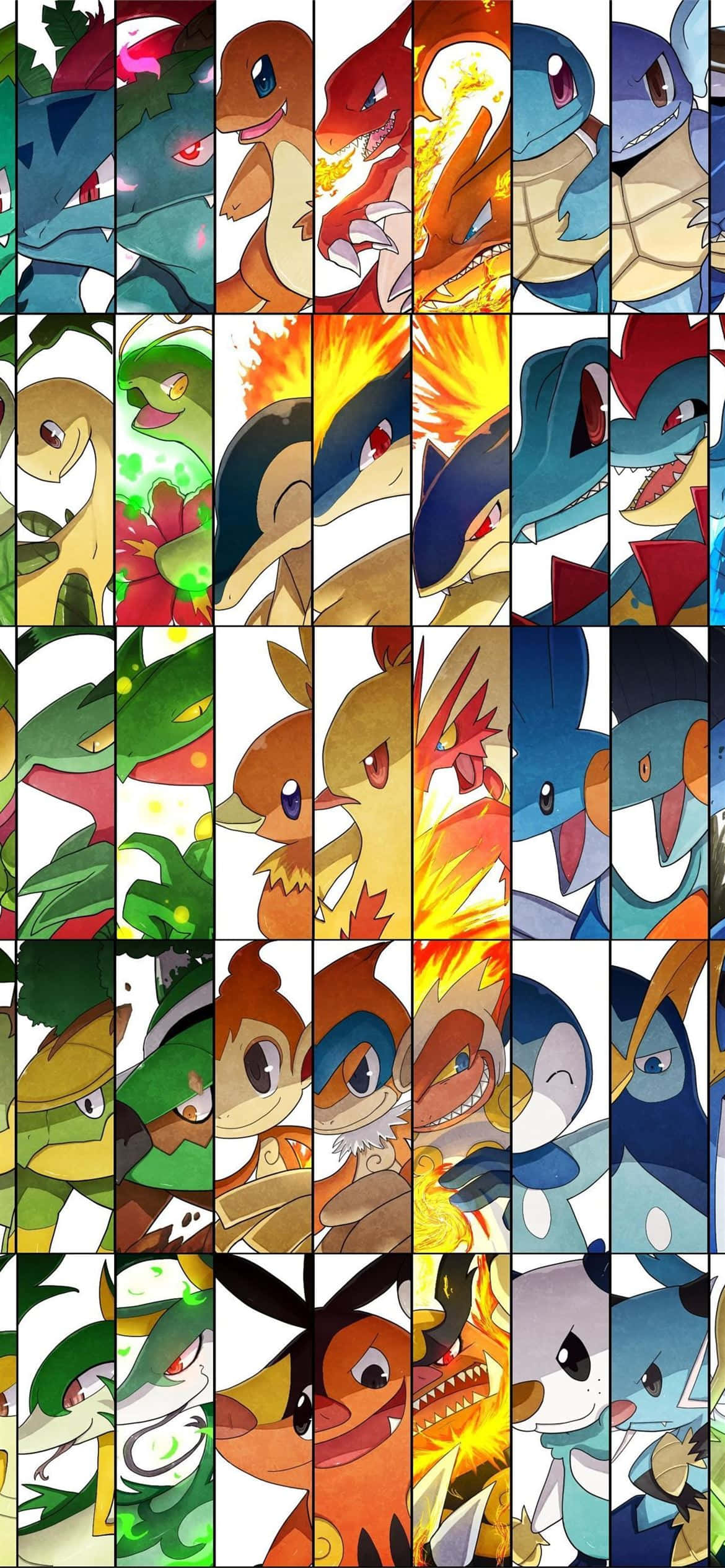 Collage ya Pokemon Evolution Inayowakilisha Meganium Picha ya Ukuta