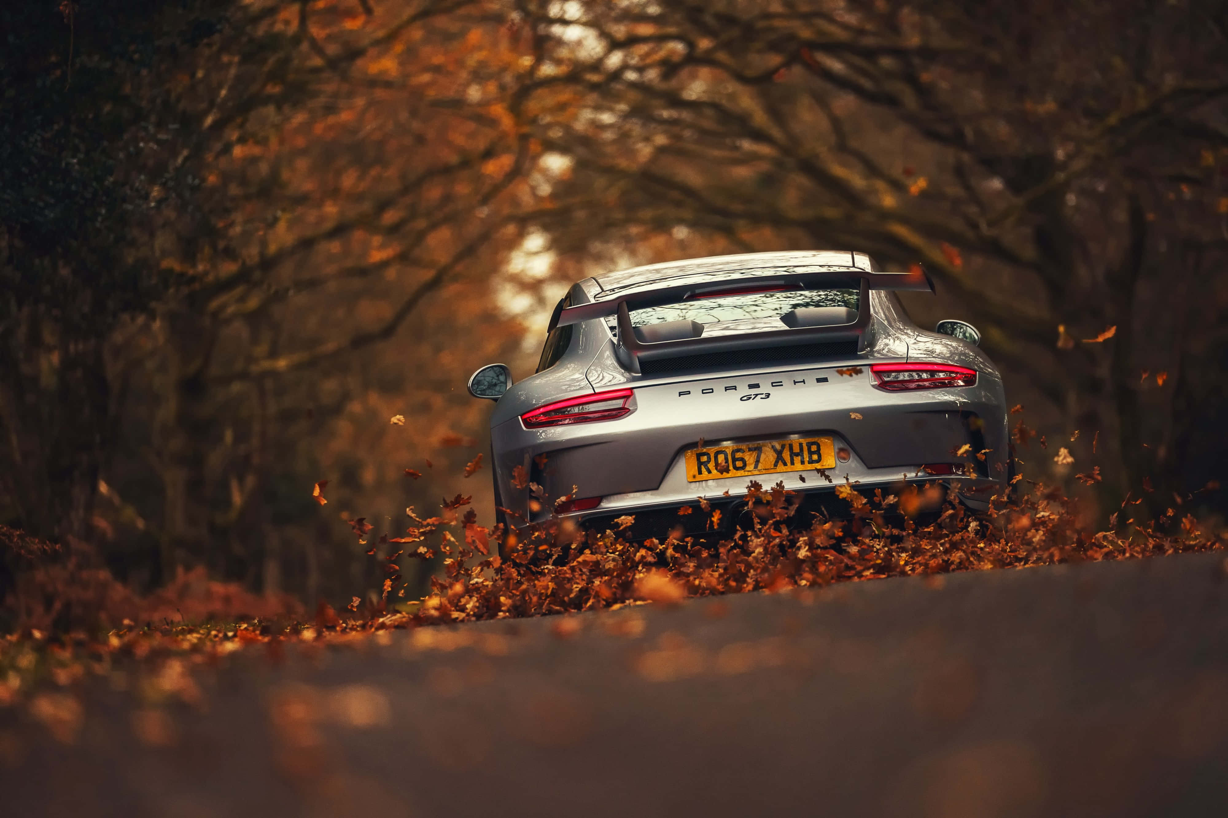 Porsche 4K Ultra HD ya Majira ya Kupukutika kwa Majani Picha ya Ukuta