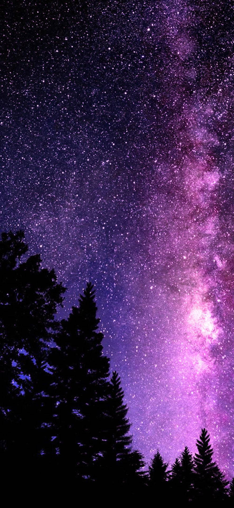 Pretty Galaxy Tree Tops Picha ya Ukuta