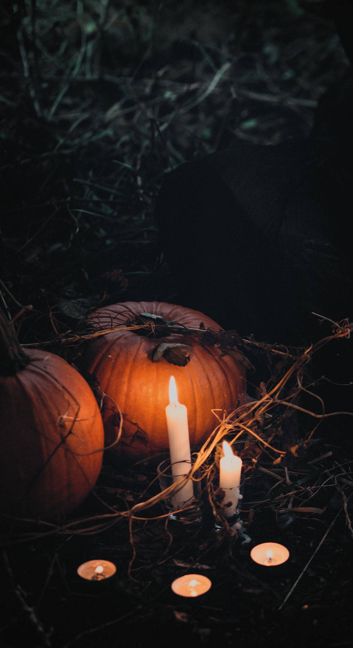 Pumpkin Na Mshumaa Halloween iPhone Picha ya Ukuta