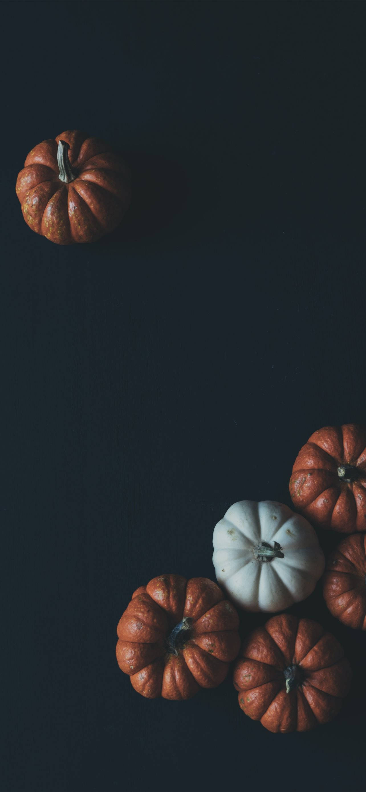 Pumpkins Juu ya Mandhari Nyeusi kwa iPhone ya Thanksgiving Picha ya Ukuta