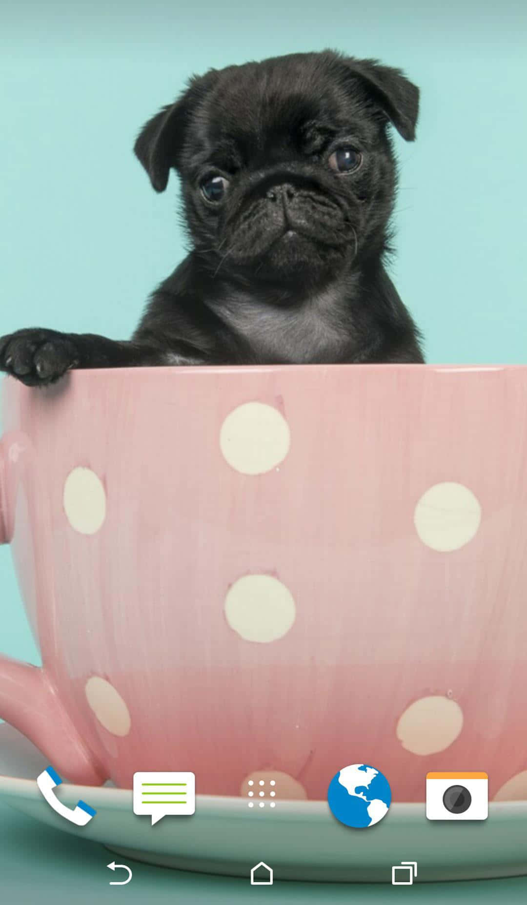 Puppies za Pink za Kipekee Picha ya Ukuta