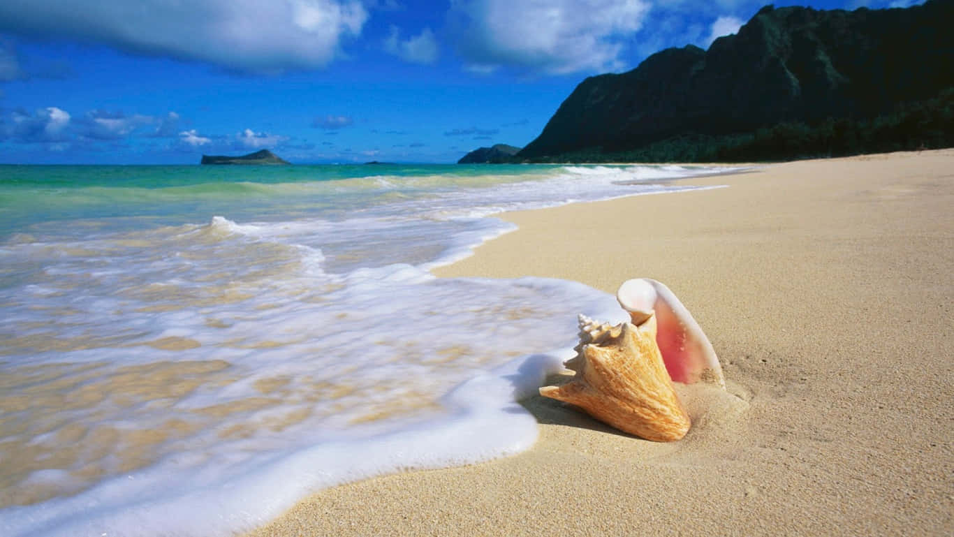 Pwani ya HD na Kome la Oahu Picha ya Ukuta
