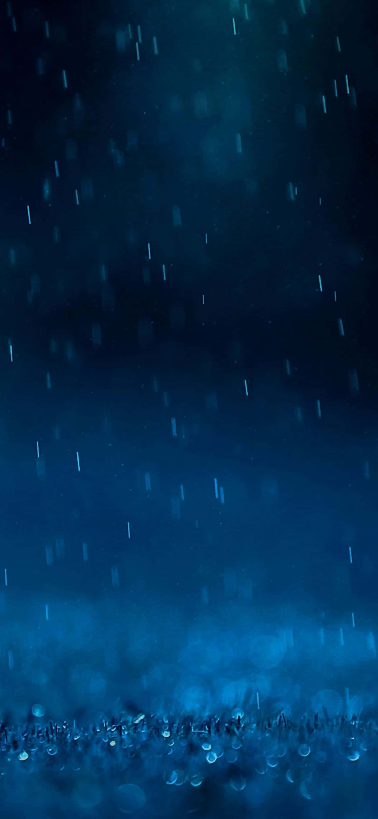 rain drops on the ground Picha ya Ukuta