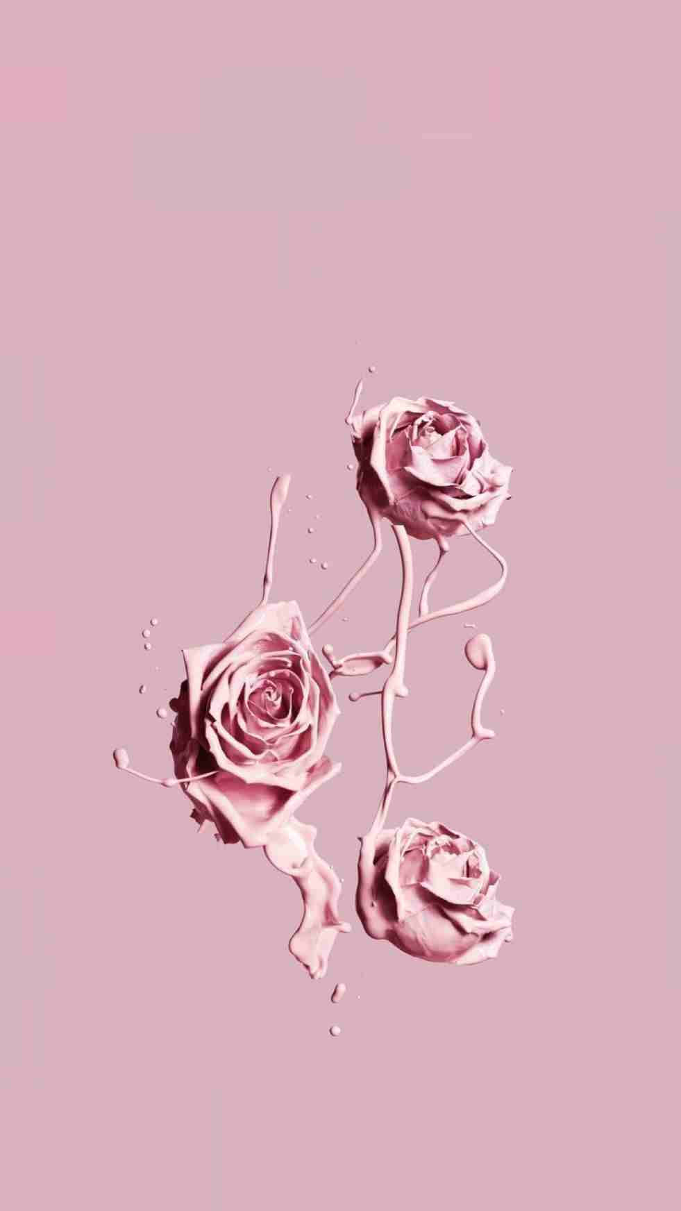 Rangi ya Pink Vintage Aesthetic Picha ya Ukuta