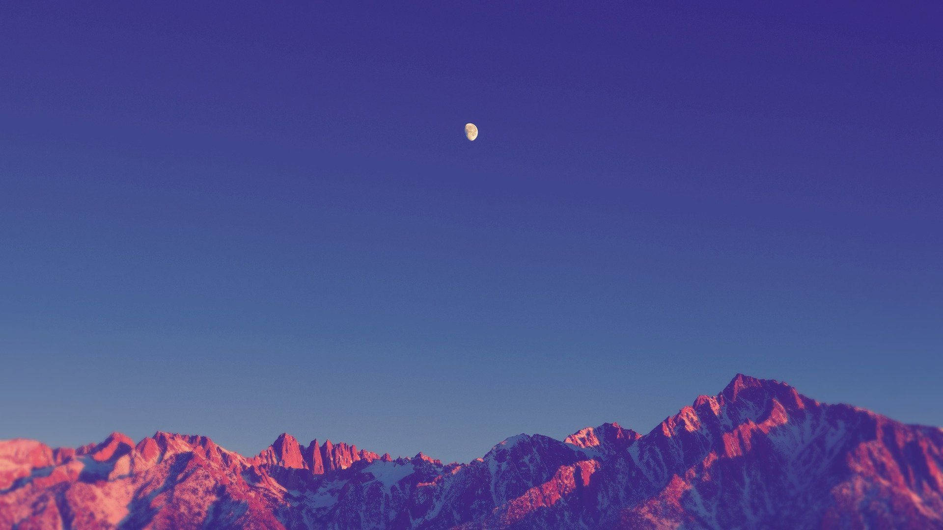 Rangi ya Zambarau ya Amani Picha ya Ukuta
