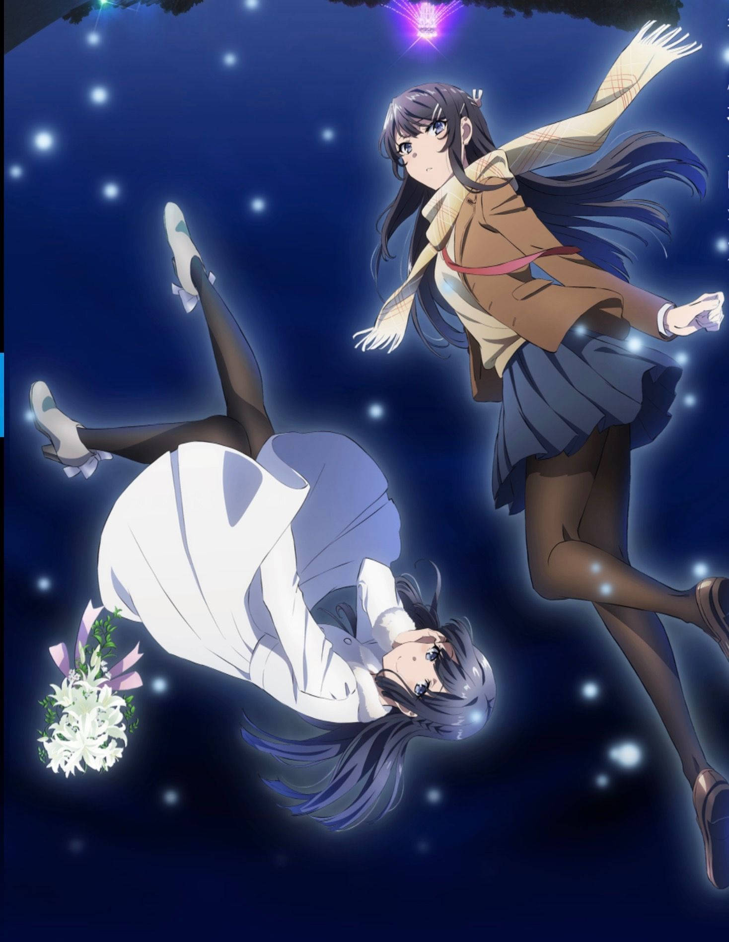 Rascal Does Not Dream Of Bunny Girl Senpai Shoko Na Mai Picha ya Ukuta