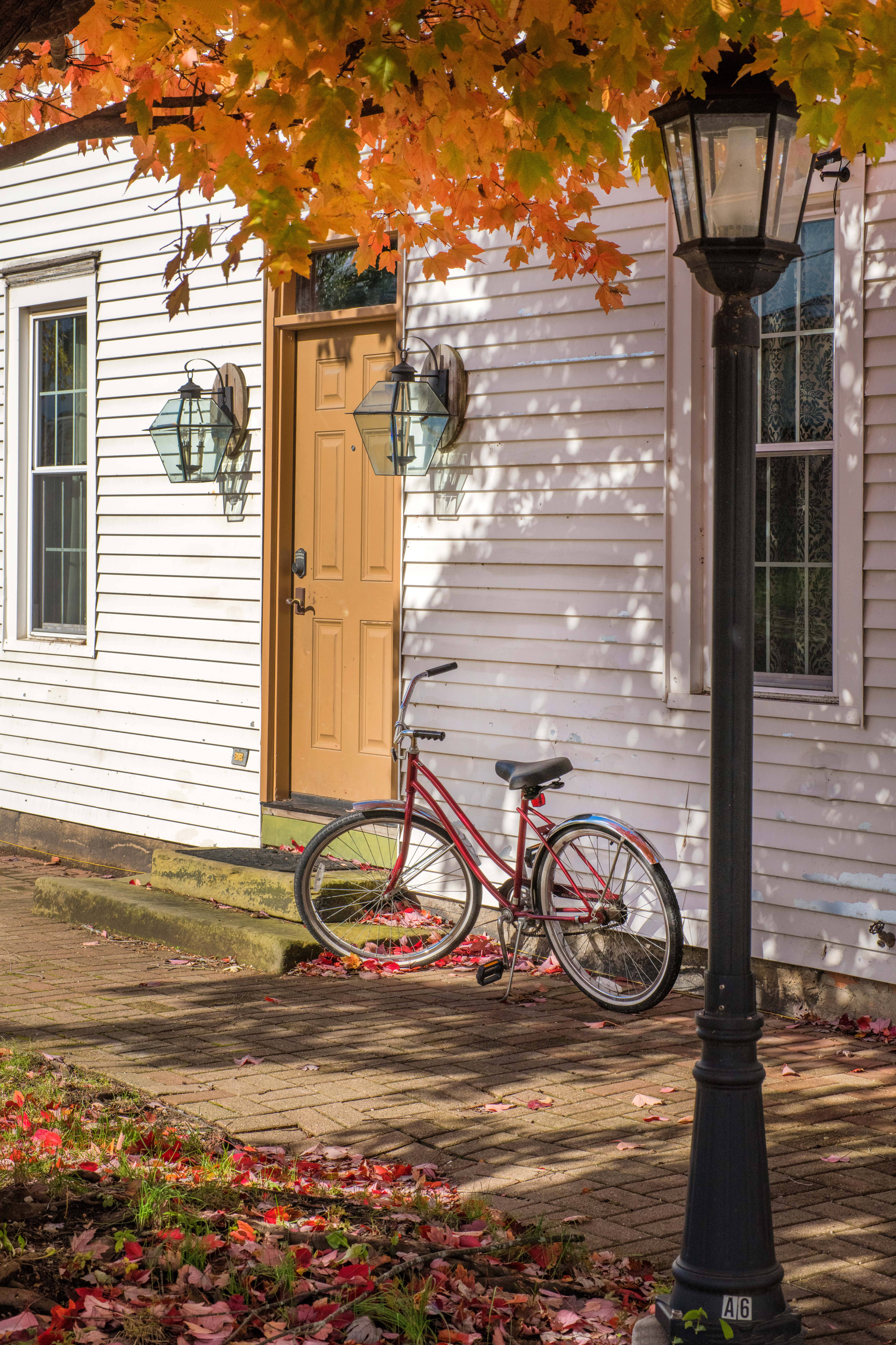 Red Bike Autumn Scene Picha ya Ukuta