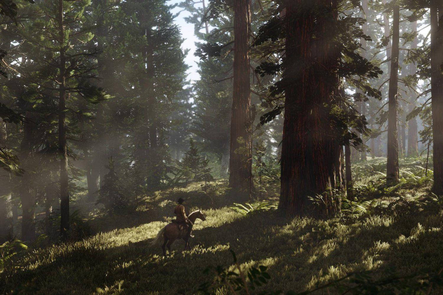 Red Dead Redemption 2 4K Msitu Picha ya Ukuta