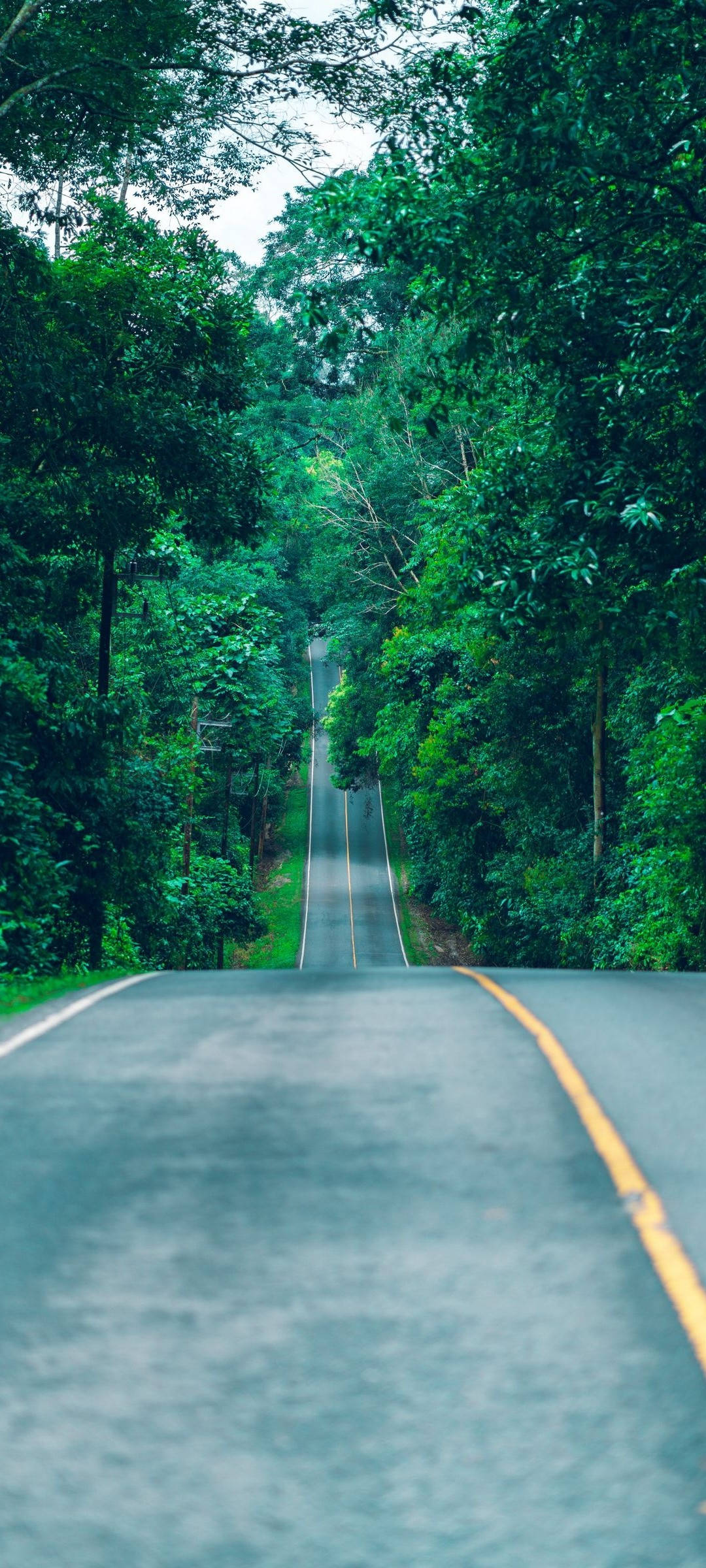 Redmi Note 10 Long Forest Road Picha ya Ukuta