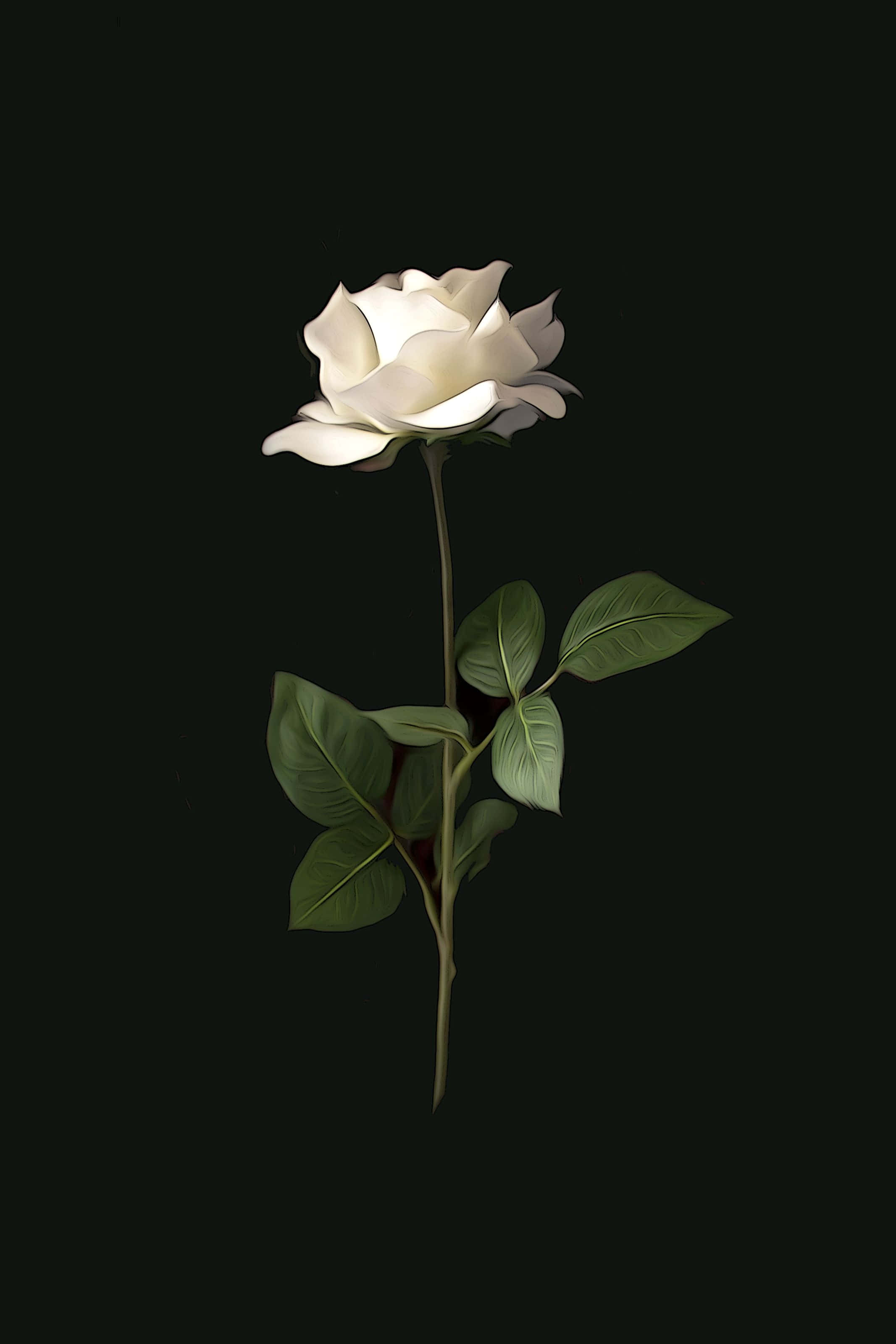 Romantic aesthetic na maua mazuri Picha ya Ukuta