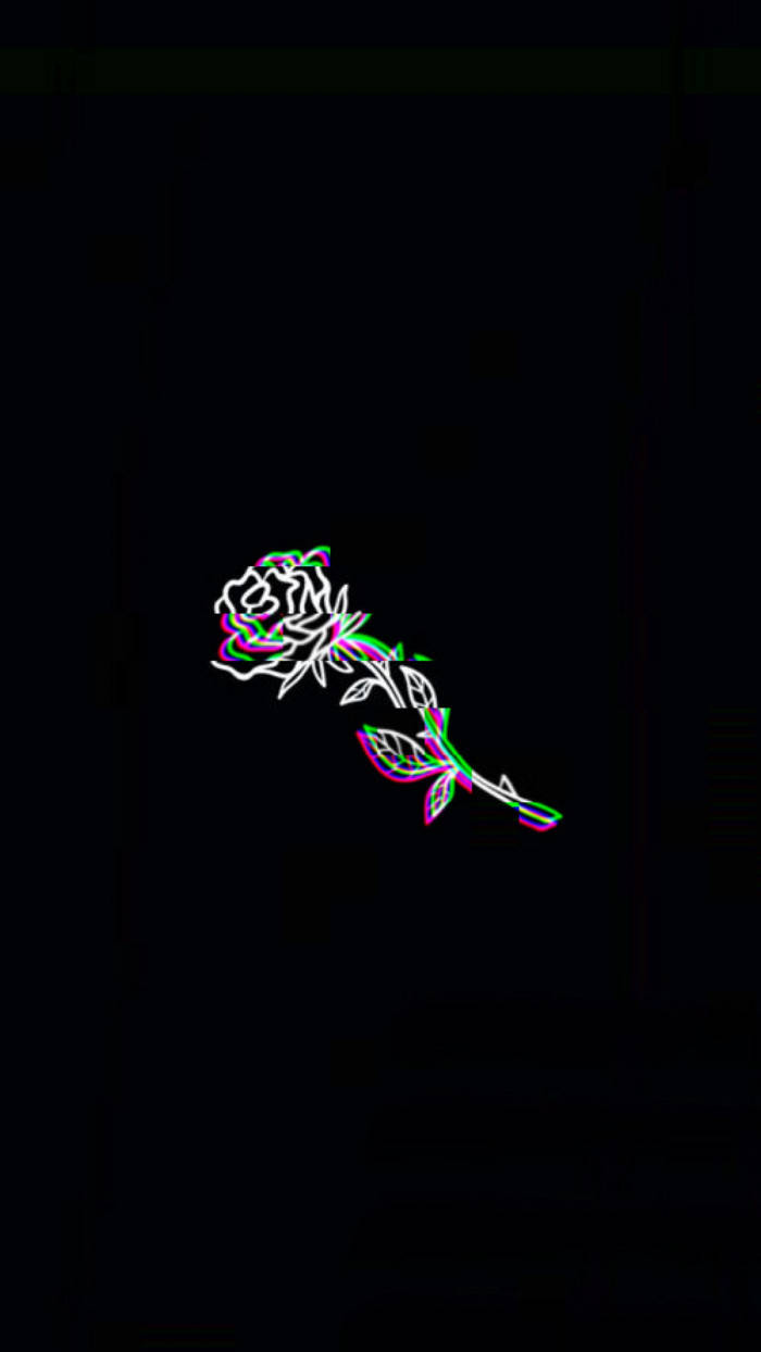 Rose ya Trippy ya Giza Picha ya Ukuta
