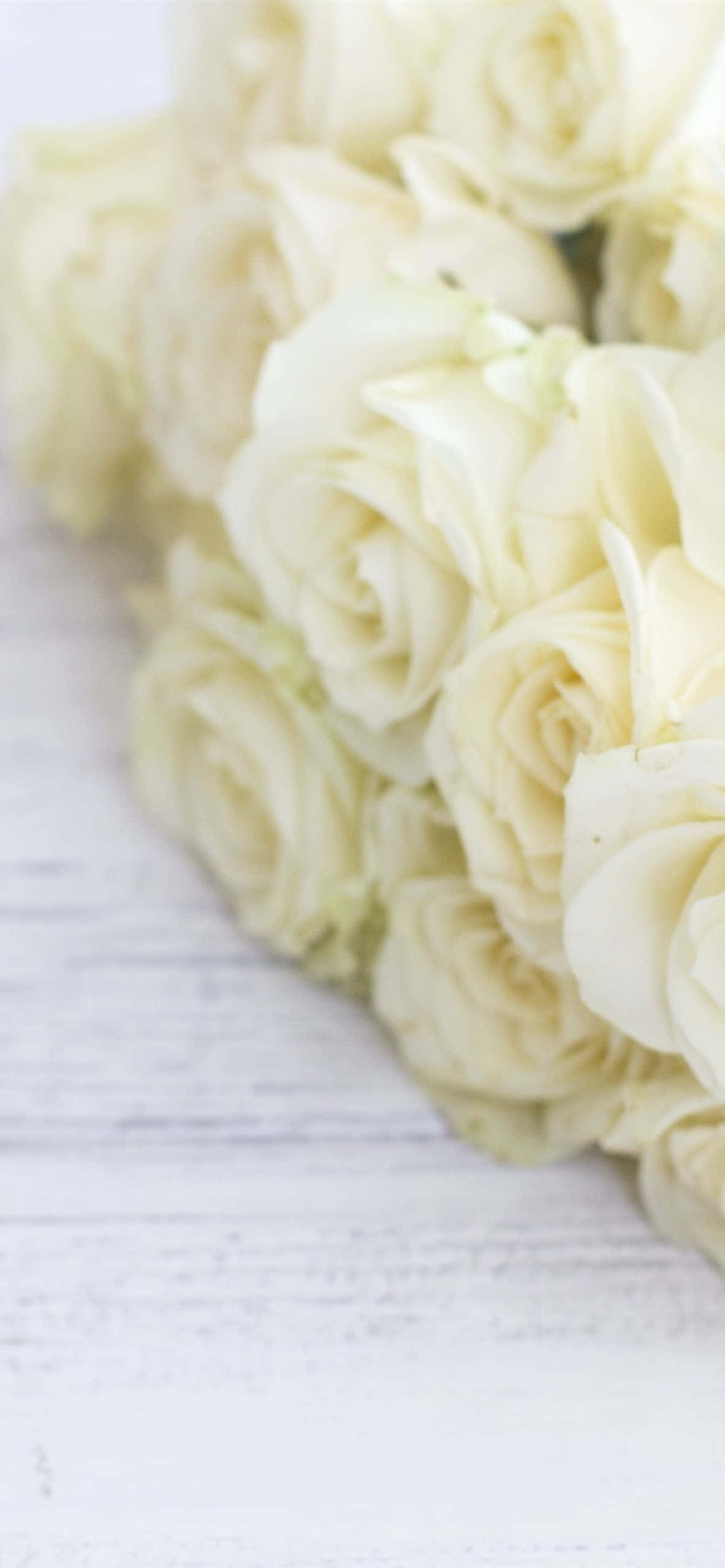 Roses Zaidia iPhone Juu ya Mbao Zaidia Picha ya Ukuta