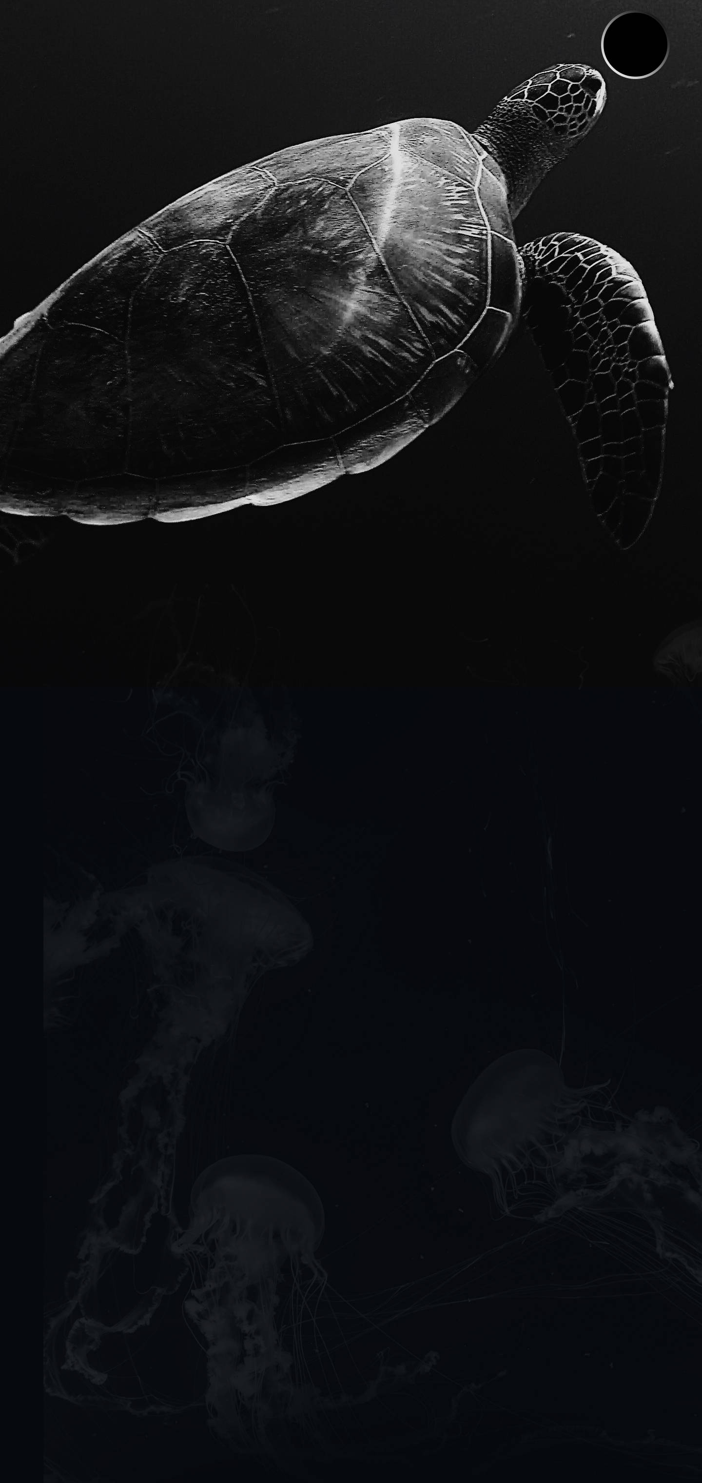 S10+ Dark Turtle Picha ya Ukuta