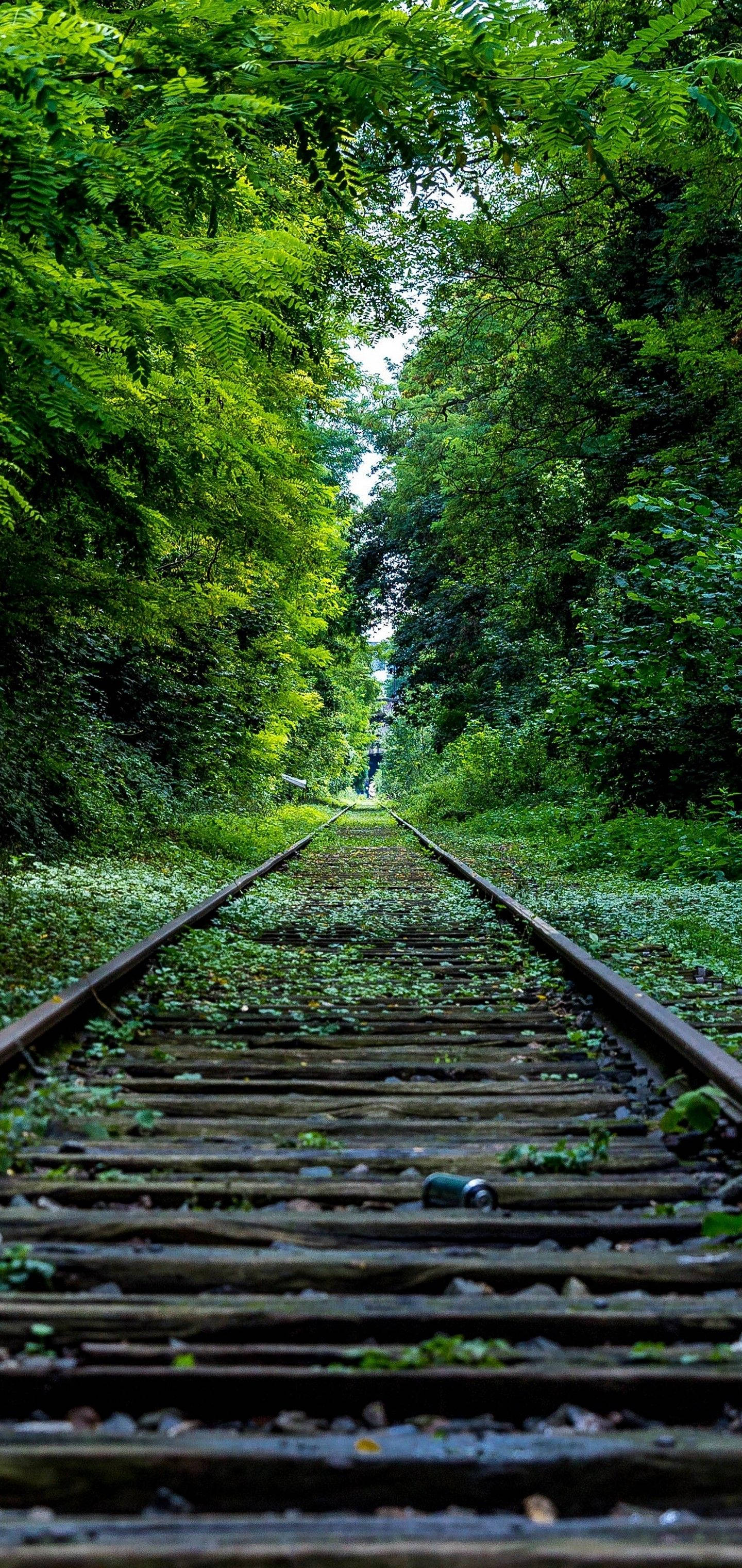 S10 Railroad Green Trees Picha ya Ukuta