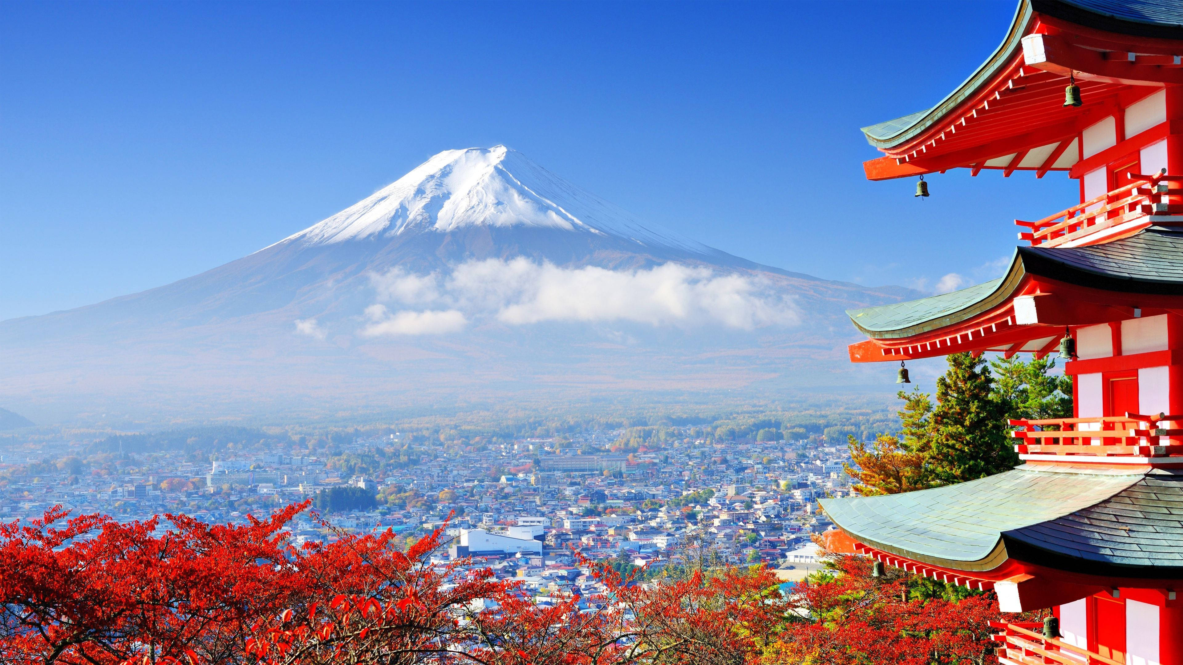 Safari 4K Japan Fuji Picha ya Ukuta