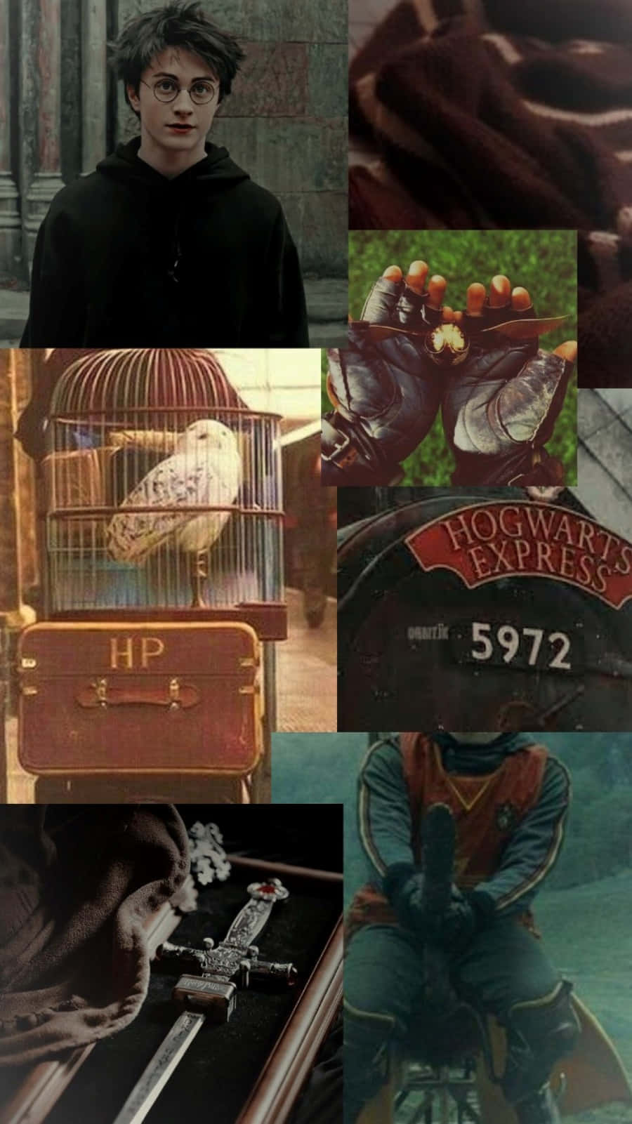 Safari Kupitia Hogwarts Picha ya Ukuta