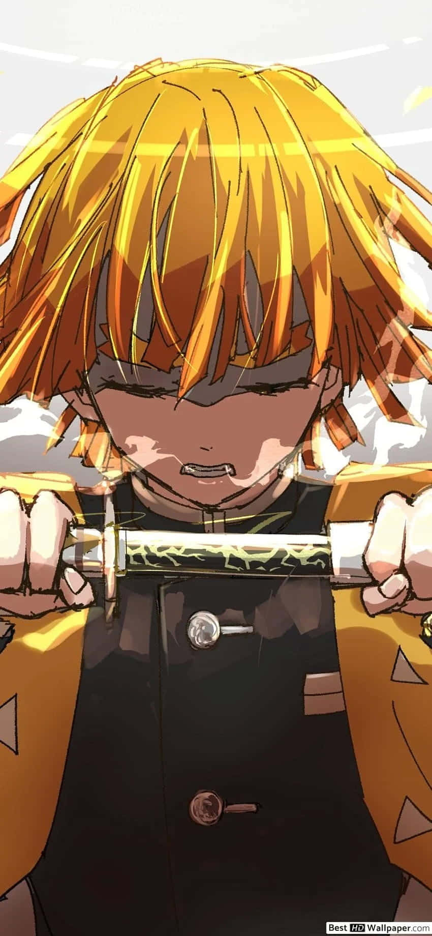 Safari na Tanjiro Kuhifadhi Familia Yake katika Demon Slayer. Picha ya Ukuta