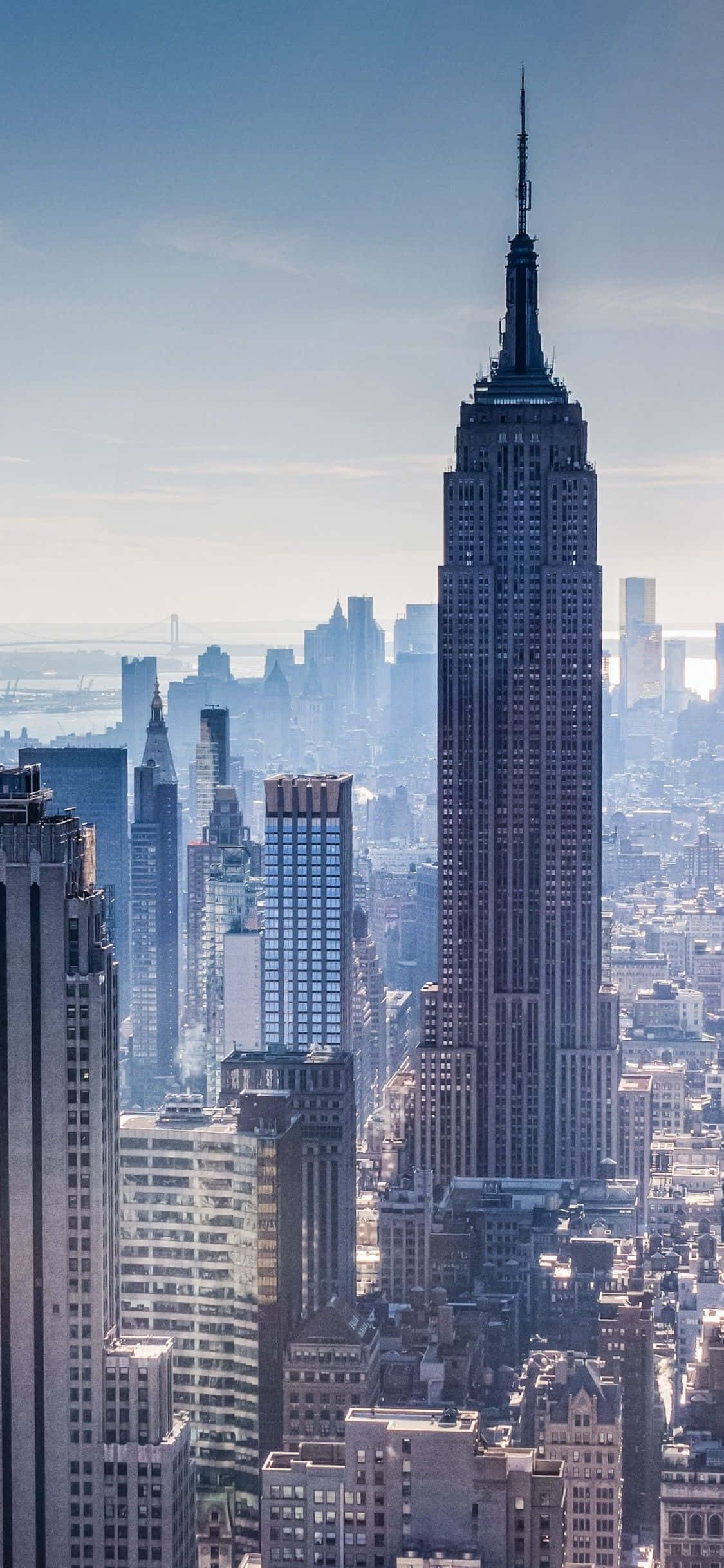 Safari ya Kuona Miji katika Big Apple - New York City Picha ya Ukuta