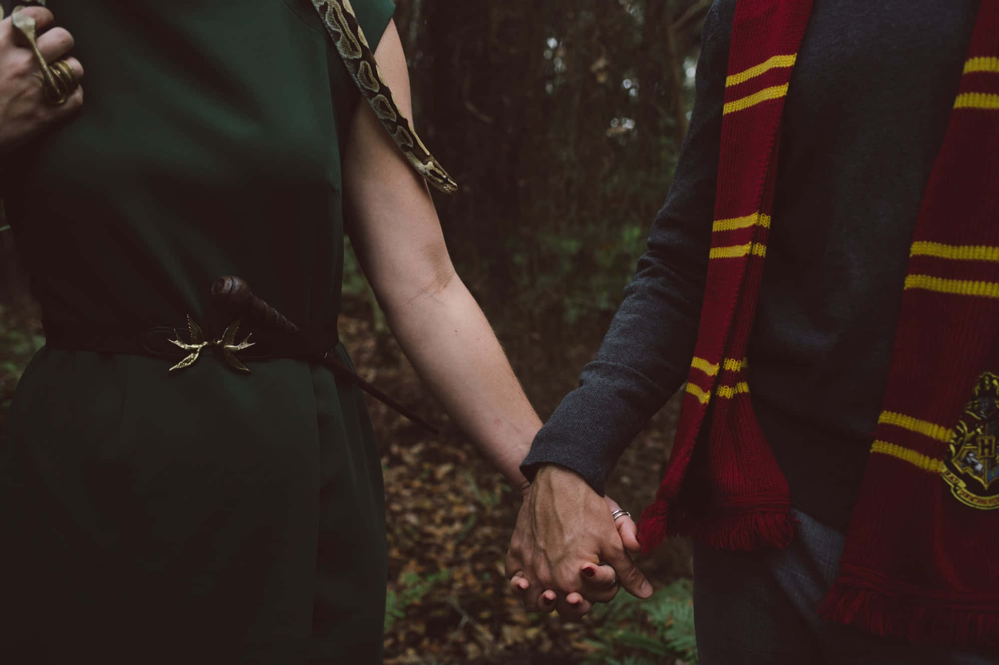 Salamu za Slytherin Aesthetic, Kuwa na Upepo Wako wa Ndani! Picha ya Ukuta