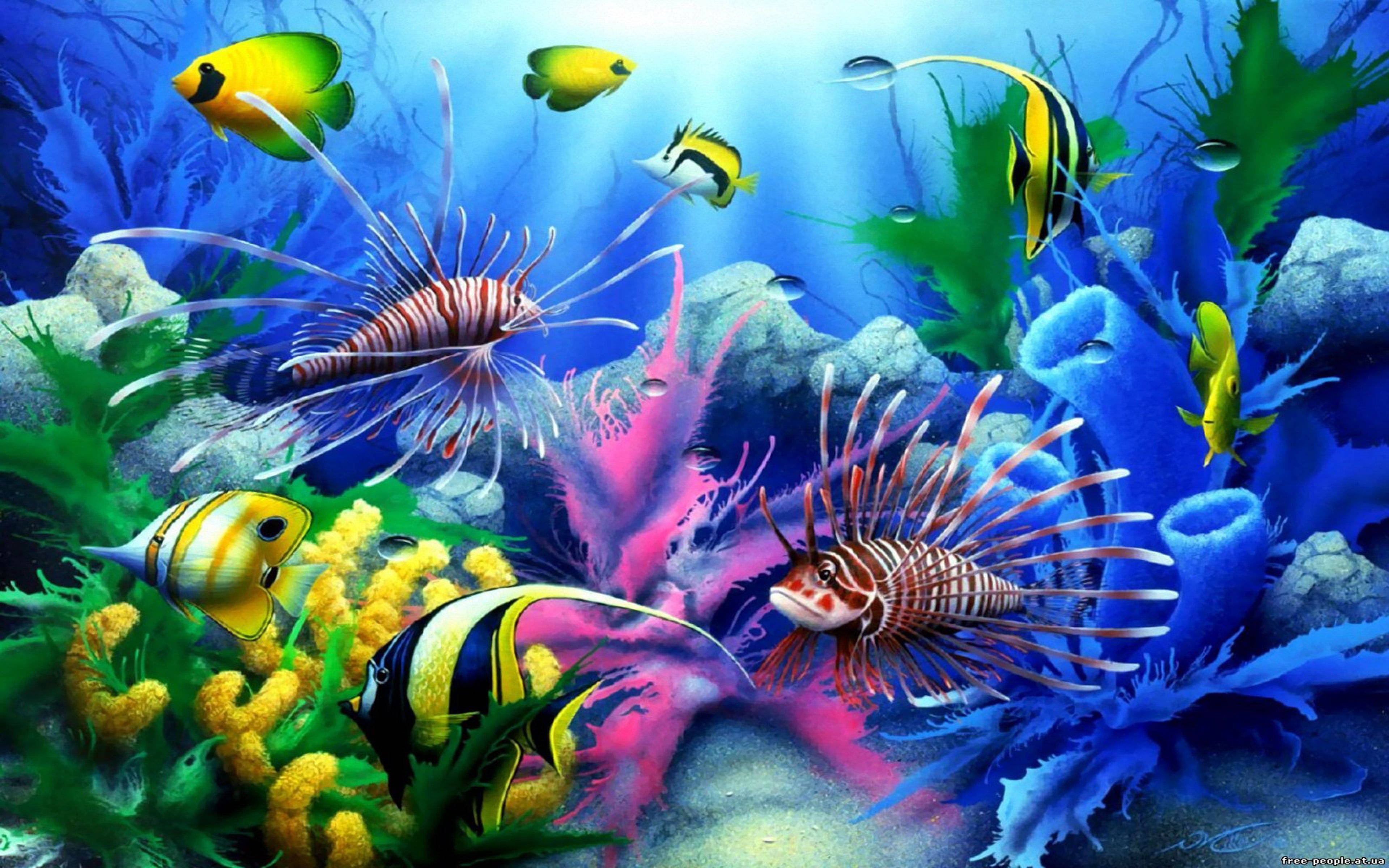 Samaki Baridi wa Aquarium Picha ya Ukuta