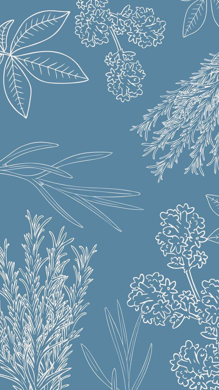 Sanaa Rahisi ya Mimea ya Bluu ya Aesthetic Picha ya Ukuta