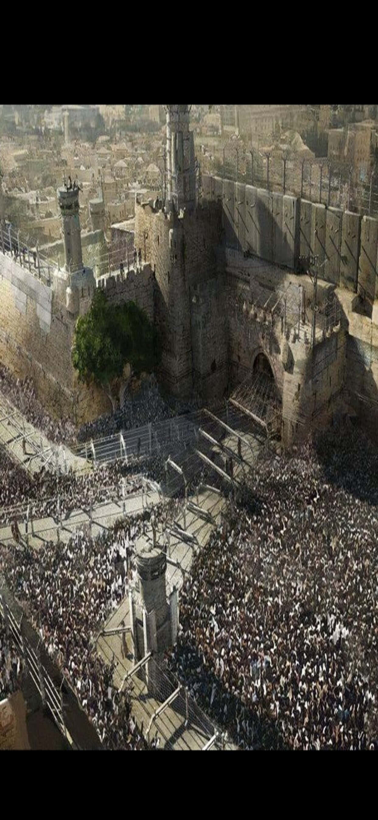 Sanaa ya Konsepti iPhone XS Max World War Z Background Picha ya Ukuta