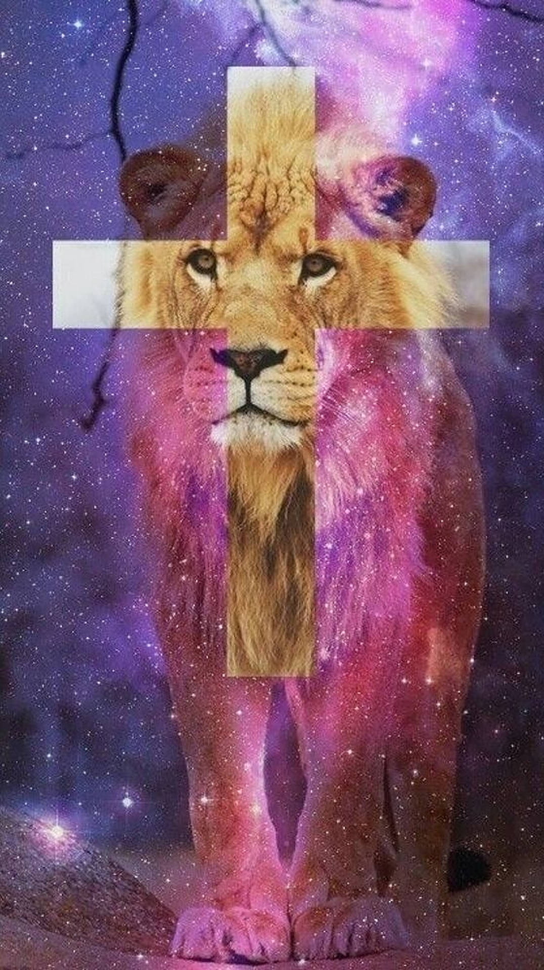 Sanaa ya Msalaba na Simba la Galaksi Picha ya Ukuta