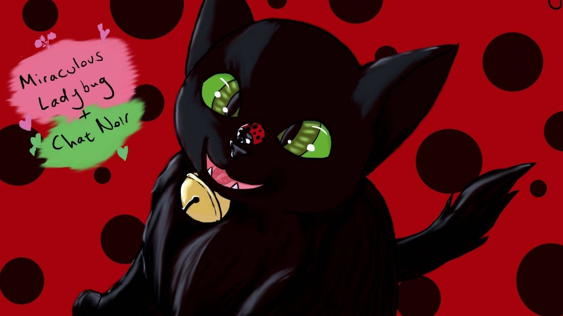 Sanamu ya Mnyama Cat Noir Picha ya Ukuta